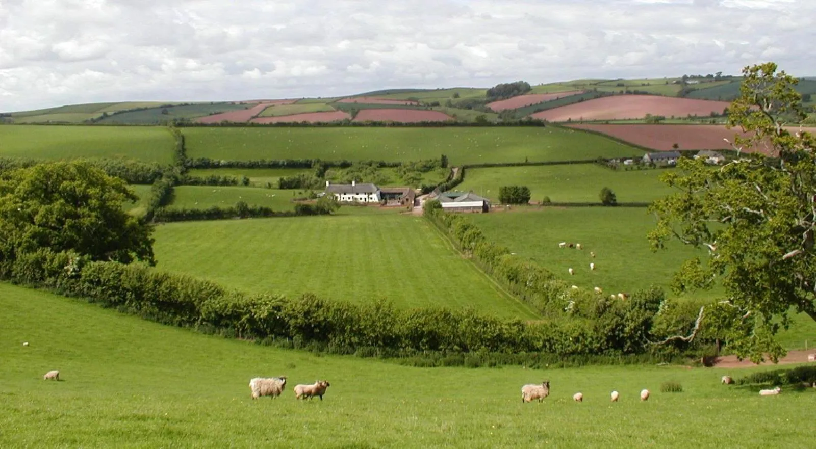 Combe Lancey Farmhouse B&B