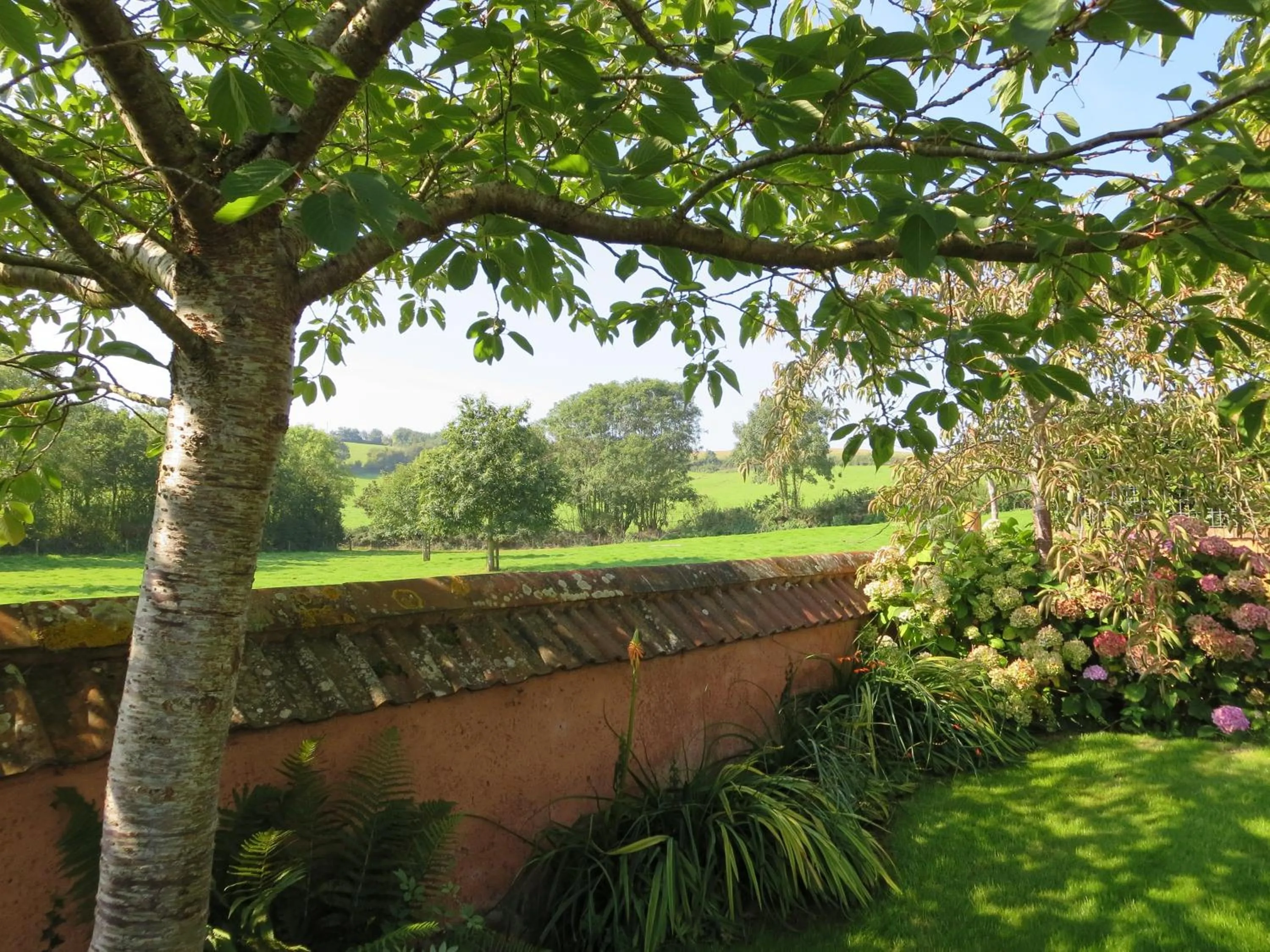 Garden in Combe Lancey Farmhouse B&B