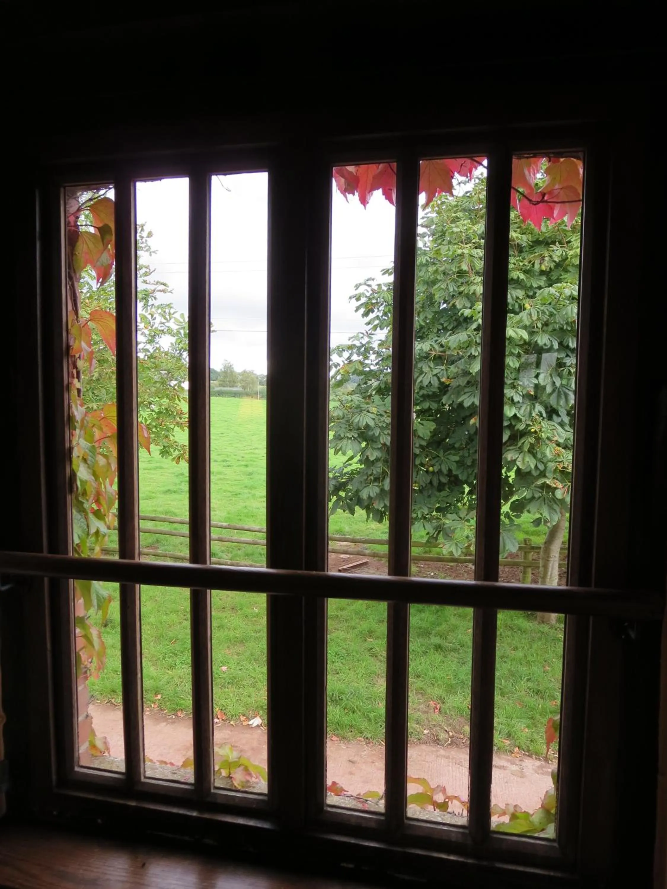 View (from property/room) in Combe Lancey Farmhouse B&B