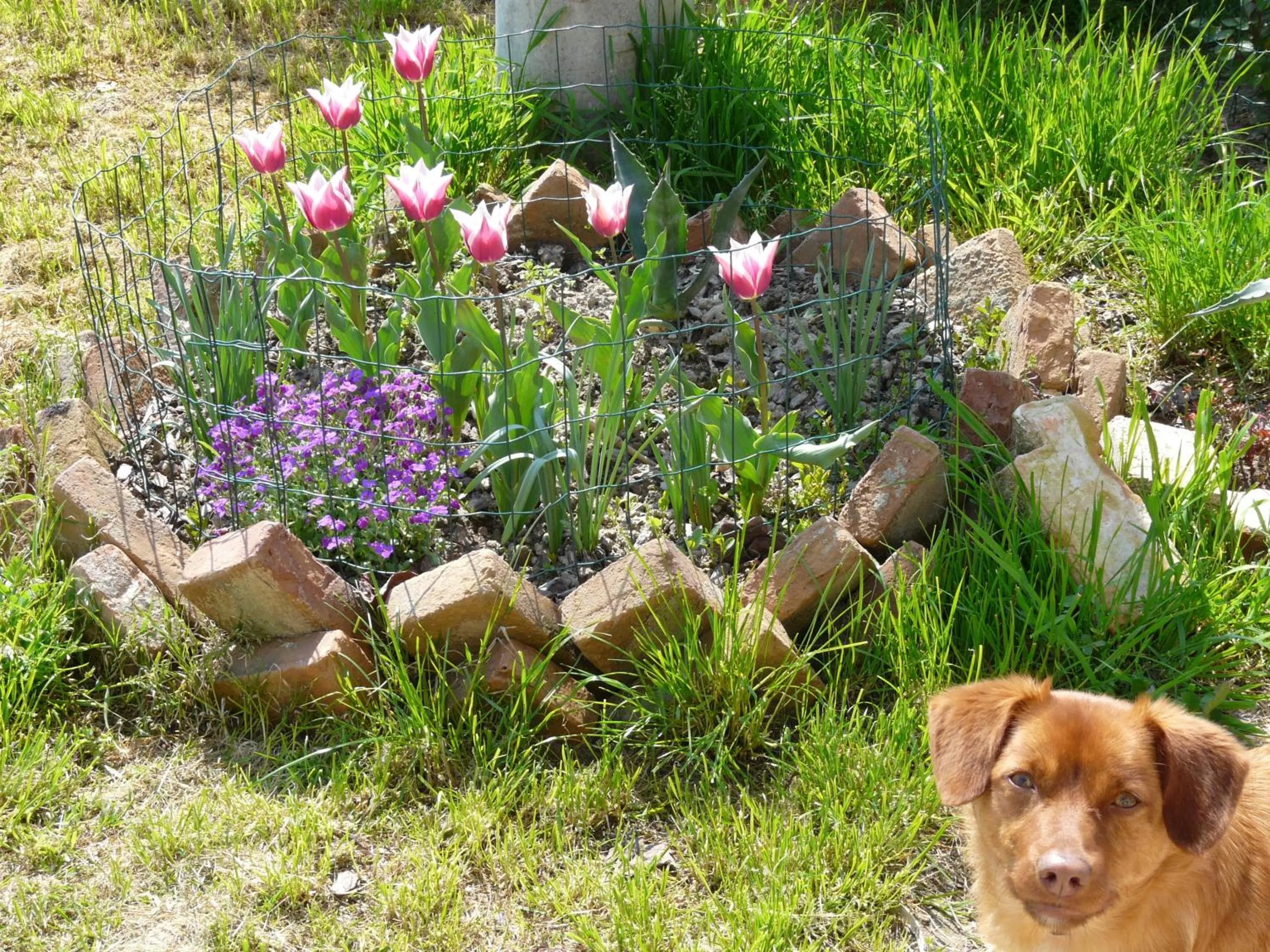 Spring in B&B LA Garzetta