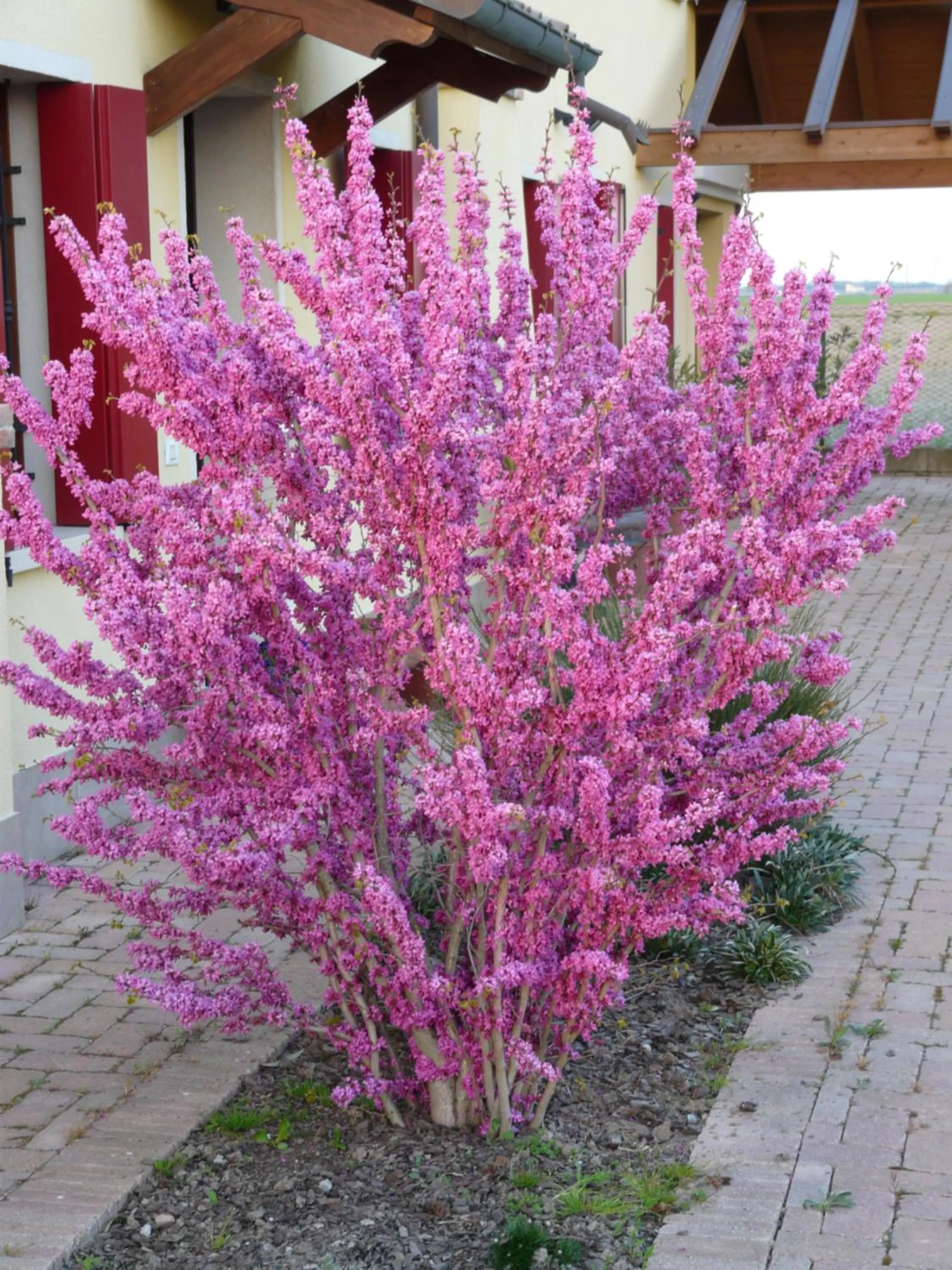 Spring in B&B LA Garzetta