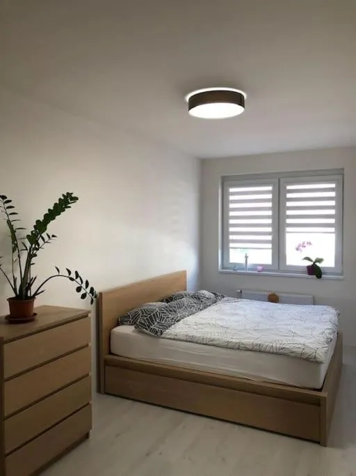 Apartment Little Hill
