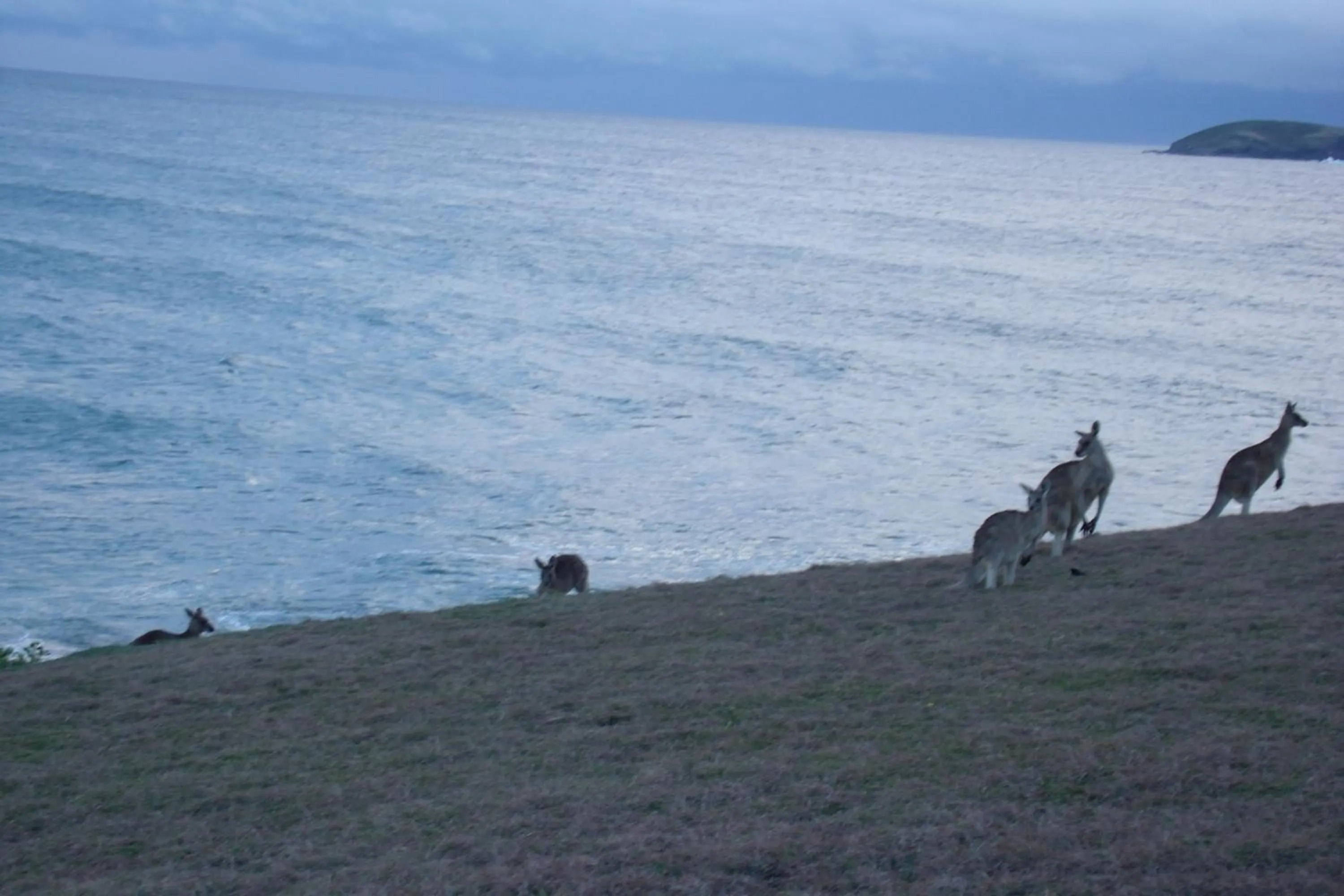 Beach in Emerald Tropical Palms B & B