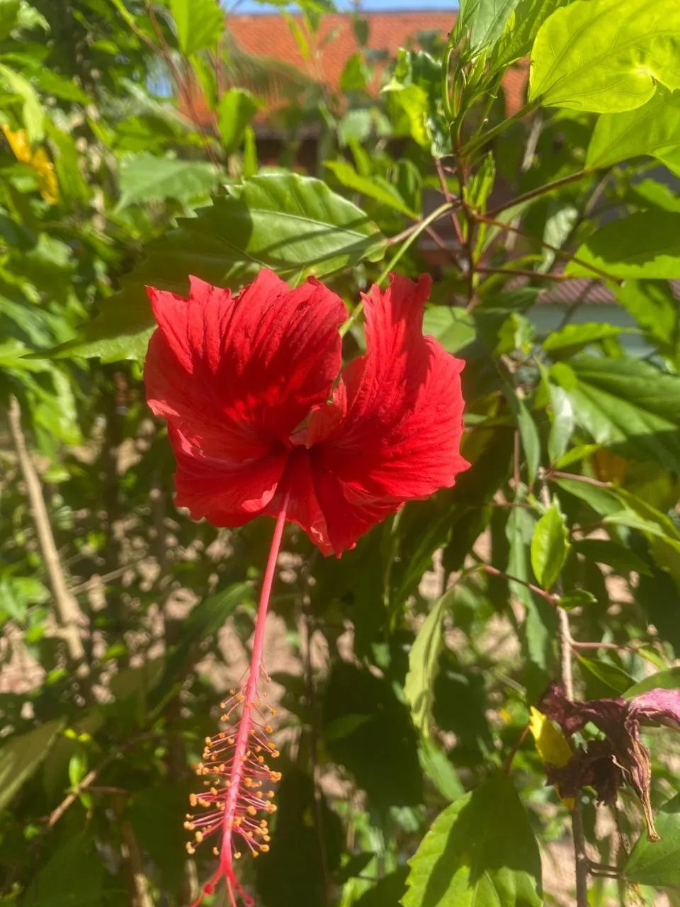 Ganesha Kampot Resort