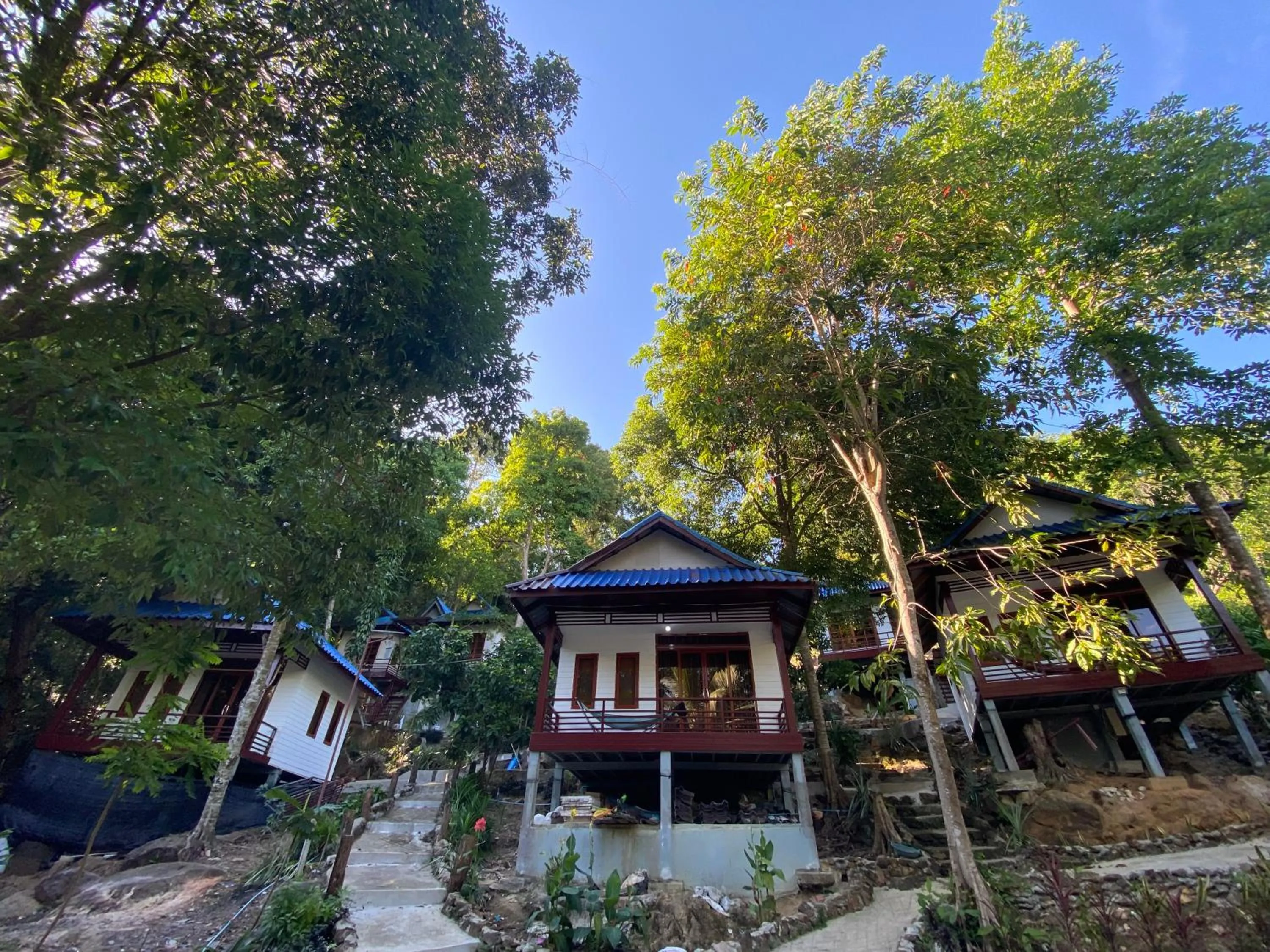 White Rose Guesthouse