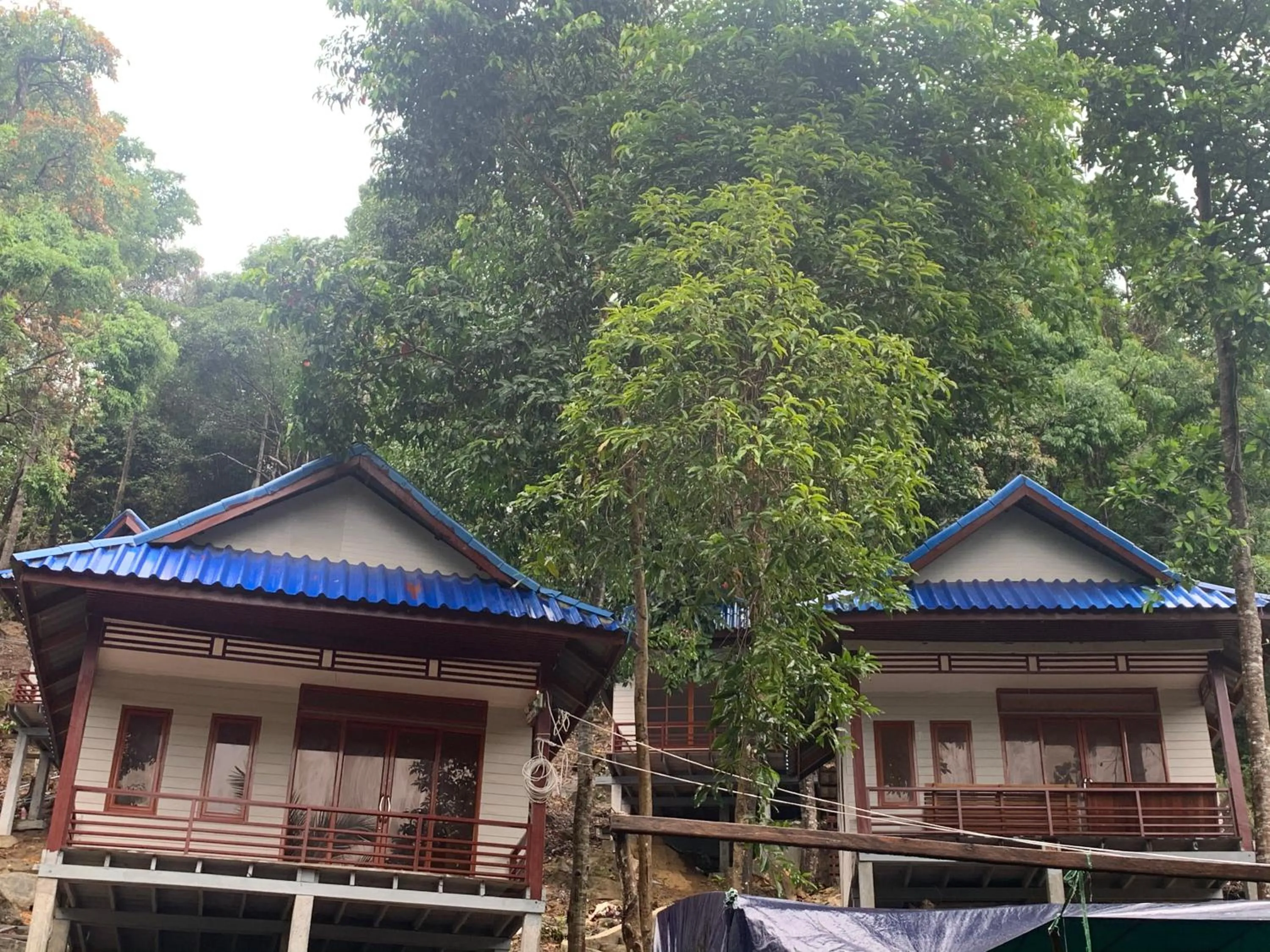 White Rose Guesthouse