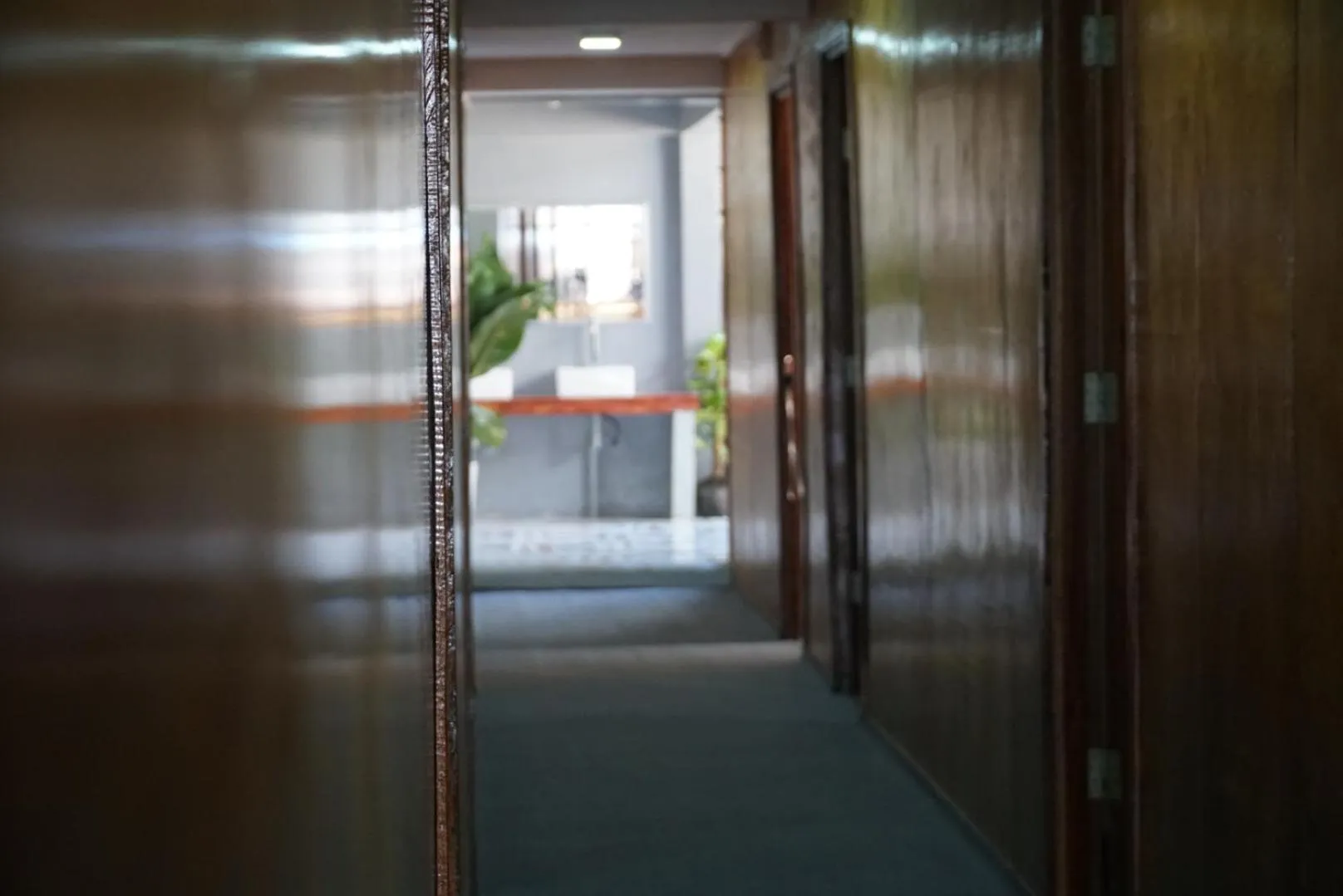 White Rose Guesthouse