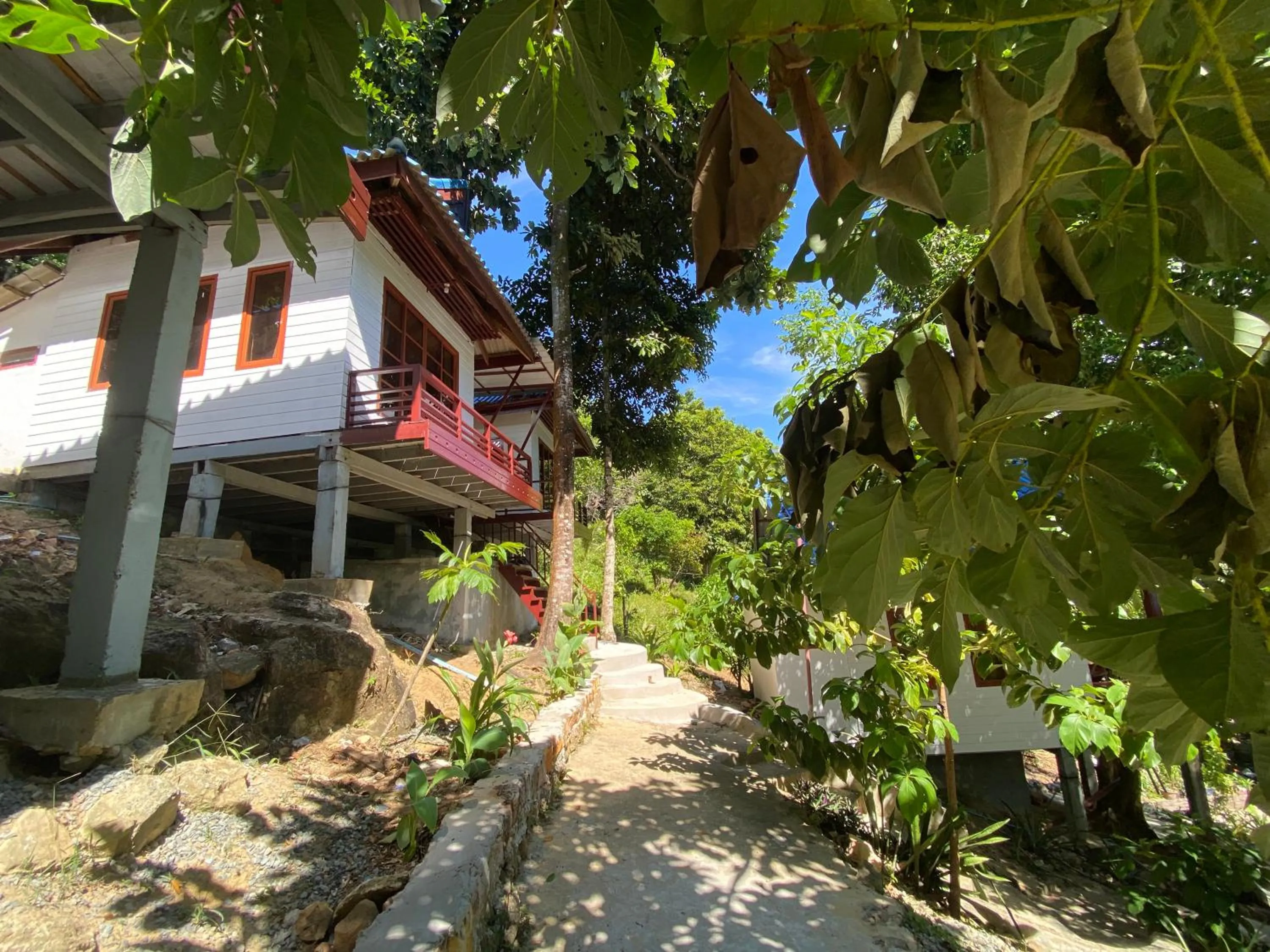 White Rose Guesthouse