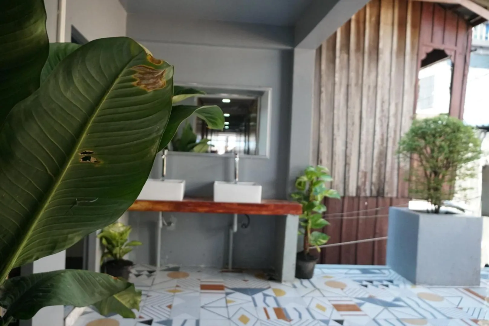 White Rose Guesthouse