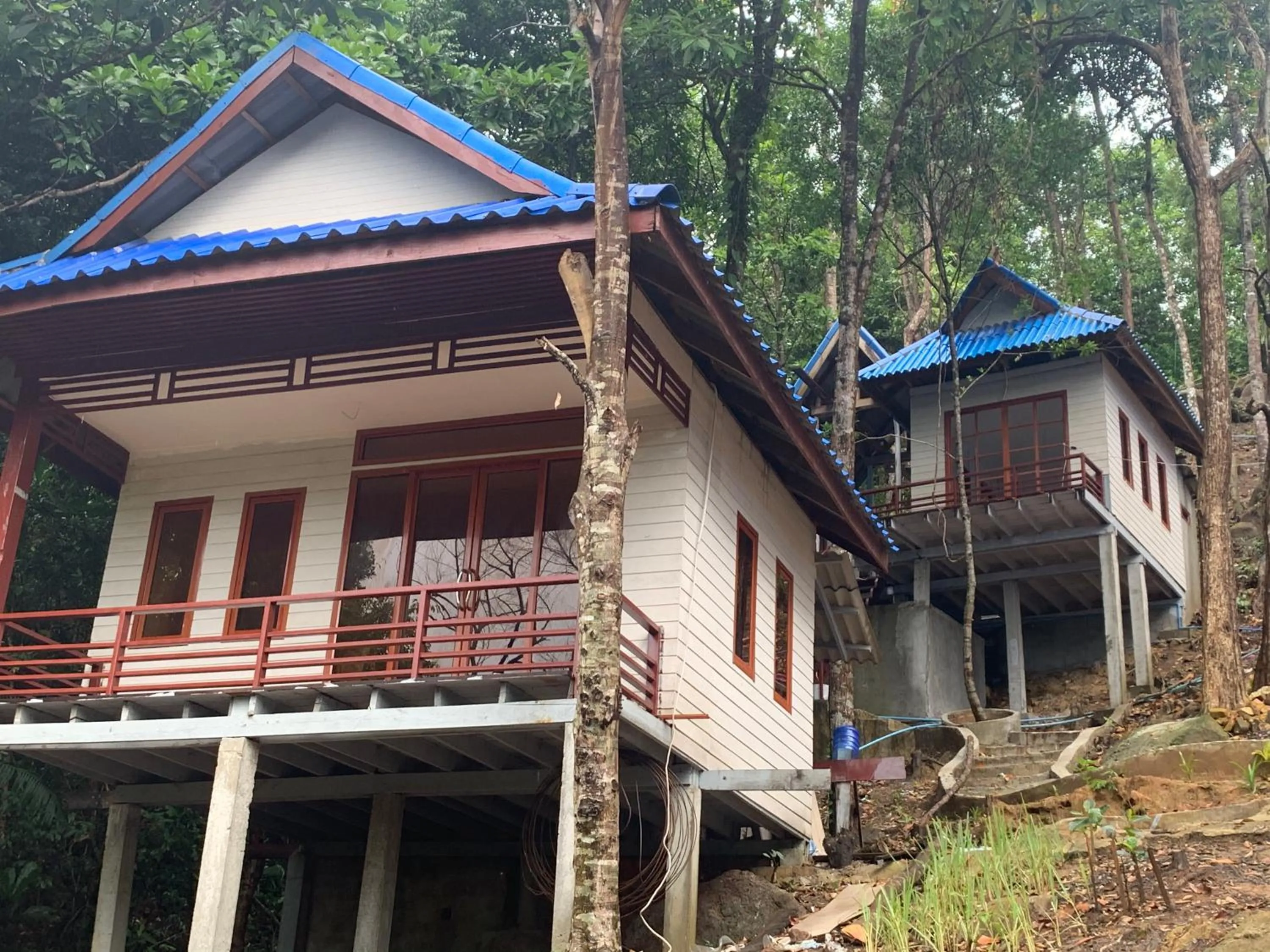 White Rose Guesthouse