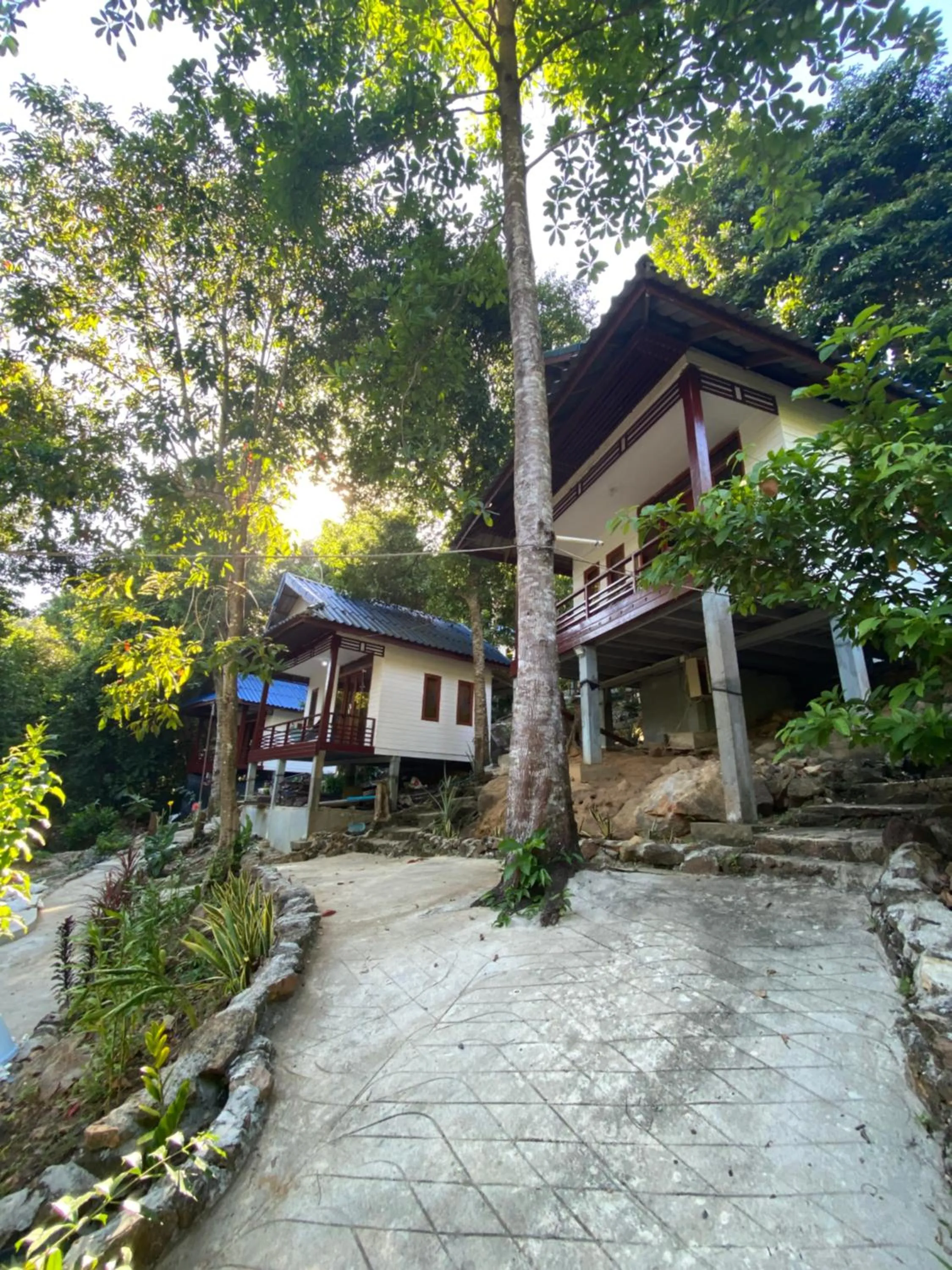 White Rose Guesthouse