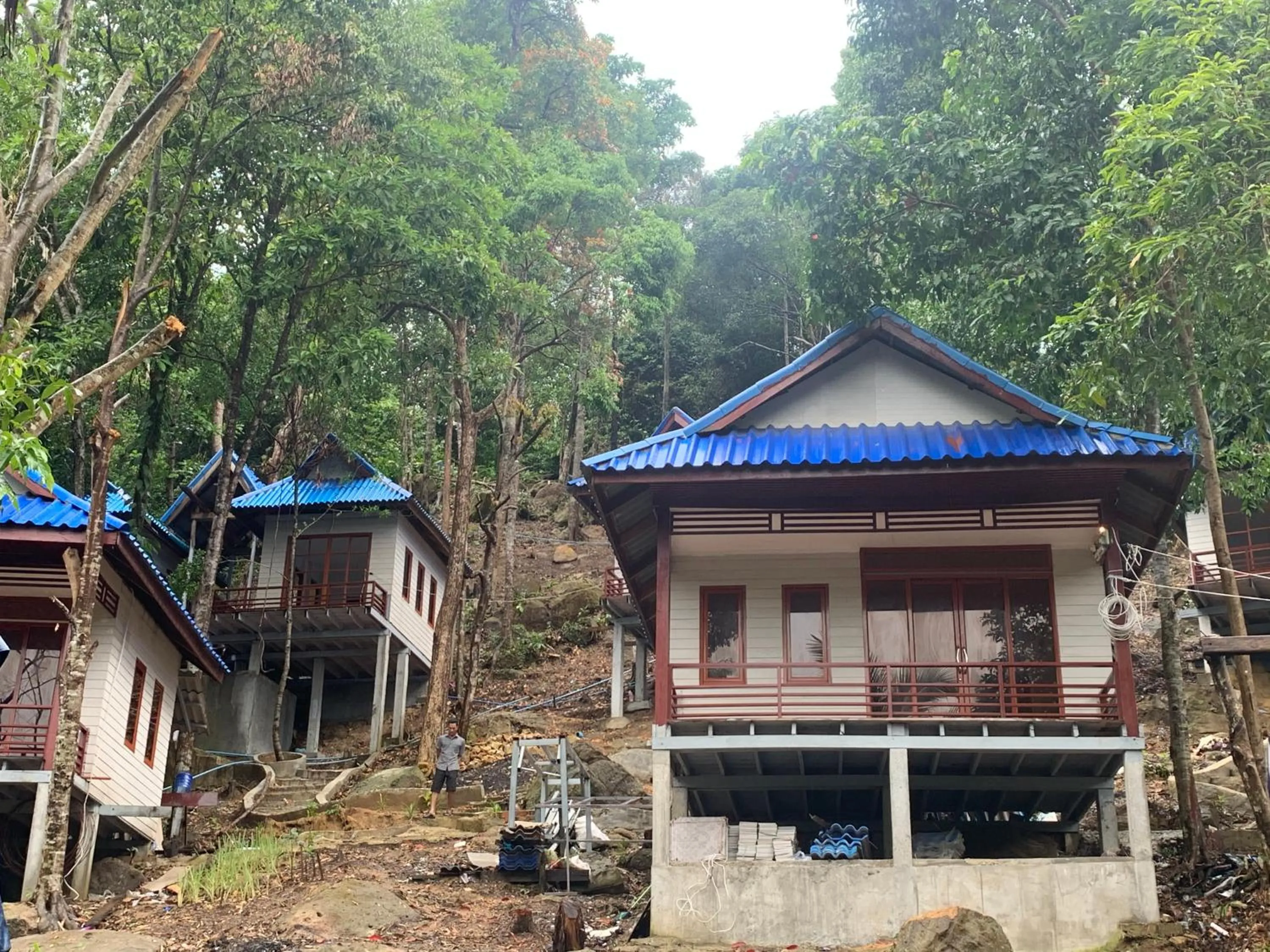 White Rose Guesthouse