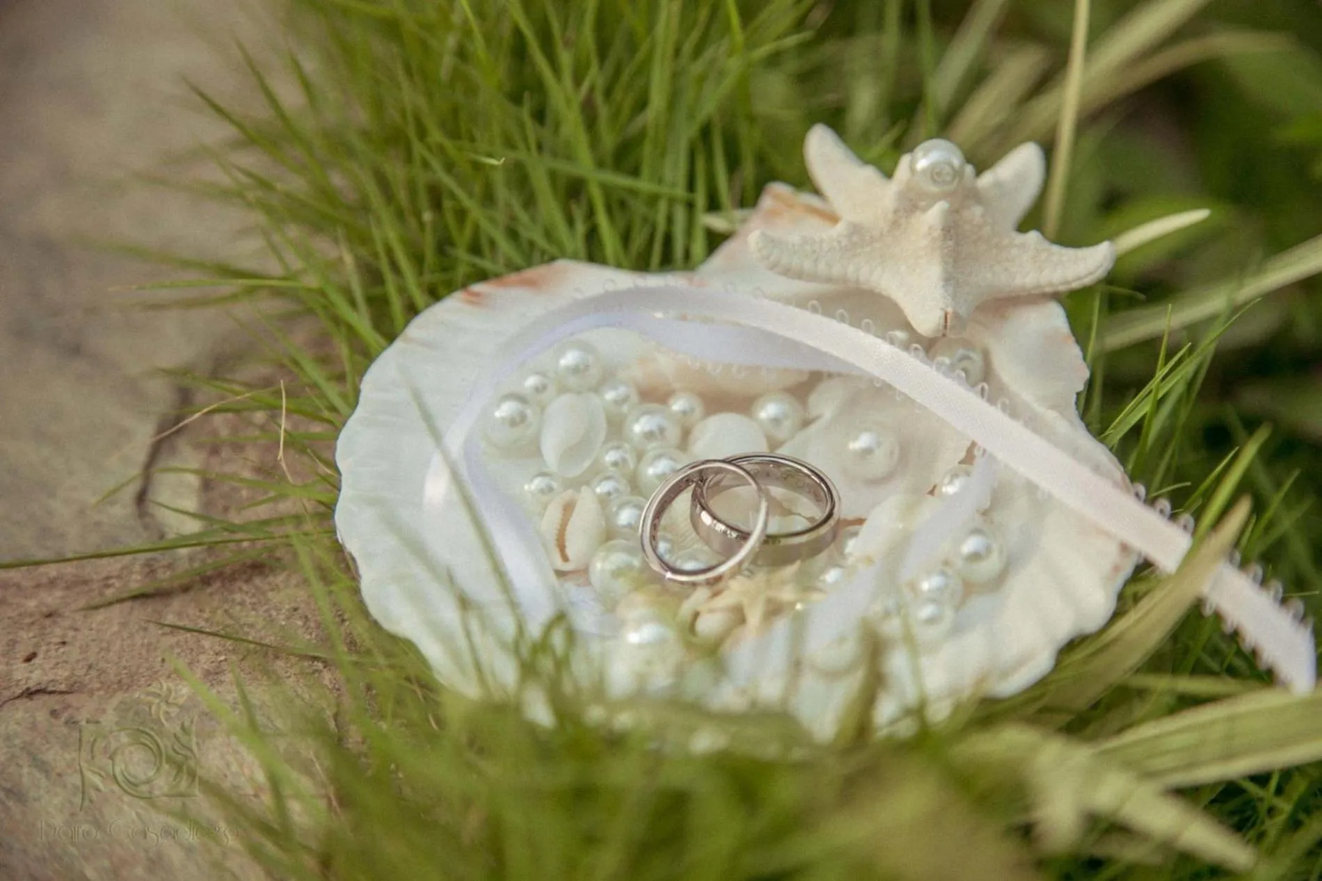 wedding in Villa Maria Tayrona, Jungle and Sea Experience