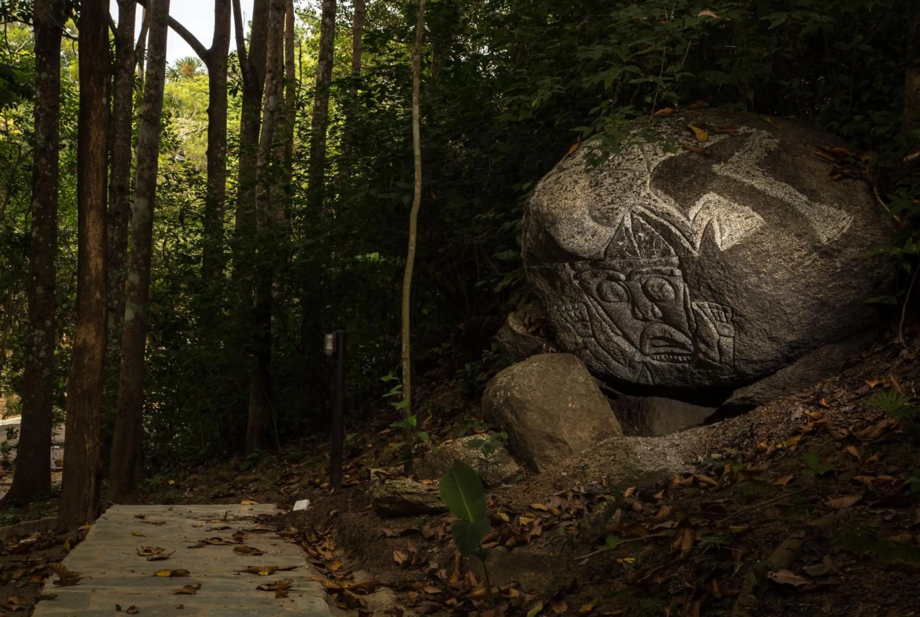 Other in Villa Maria Tayrona, Jungle and Sea Experience