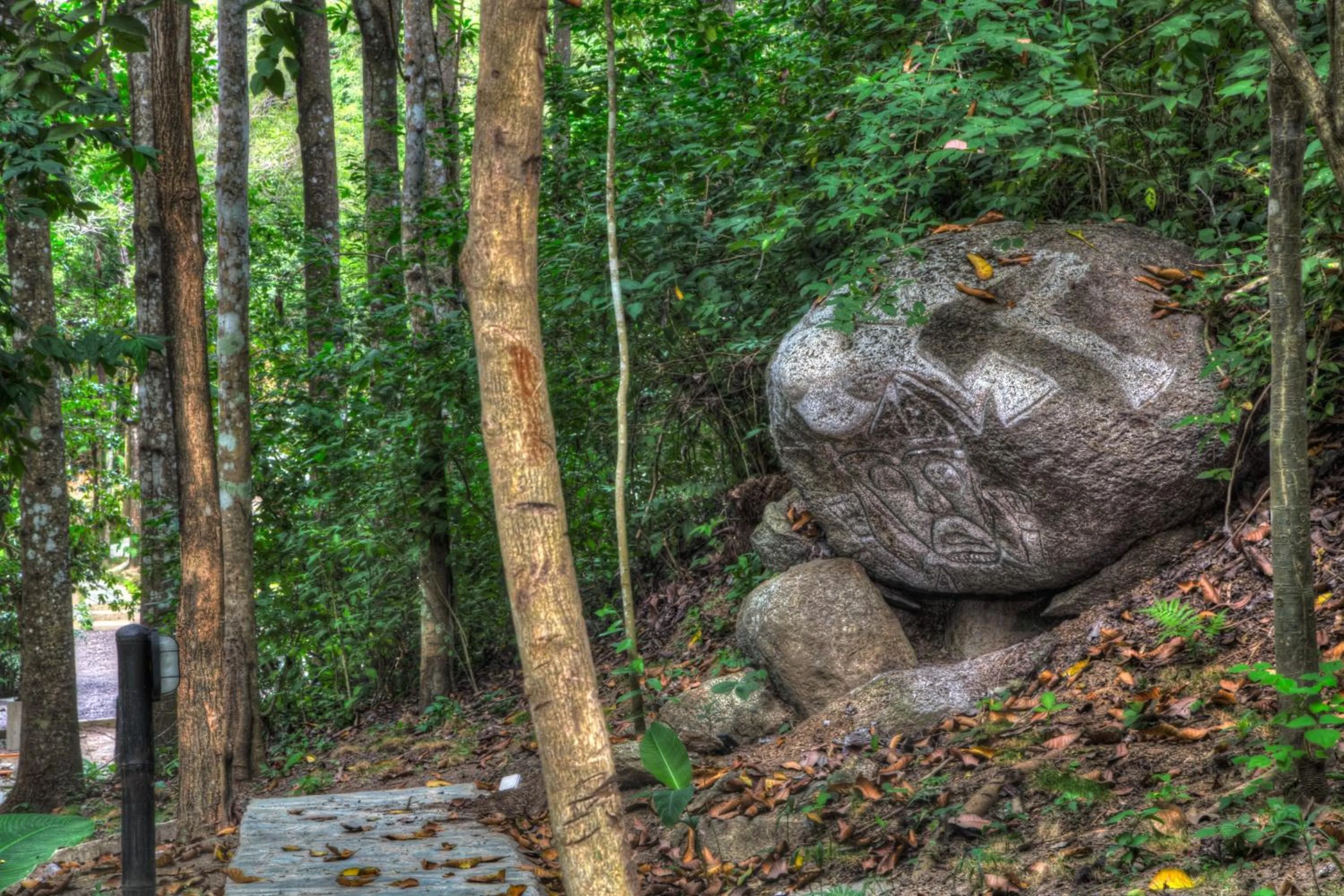 Area and facilities in Villa Maria Tayrona, Jungle and Sea Experience