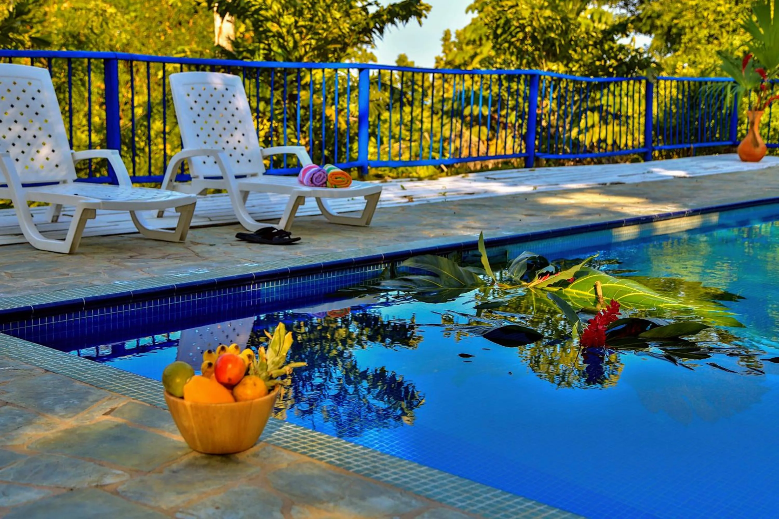 Swimming pool in Villa Maria Tayrona, Jungle and Sea Experience