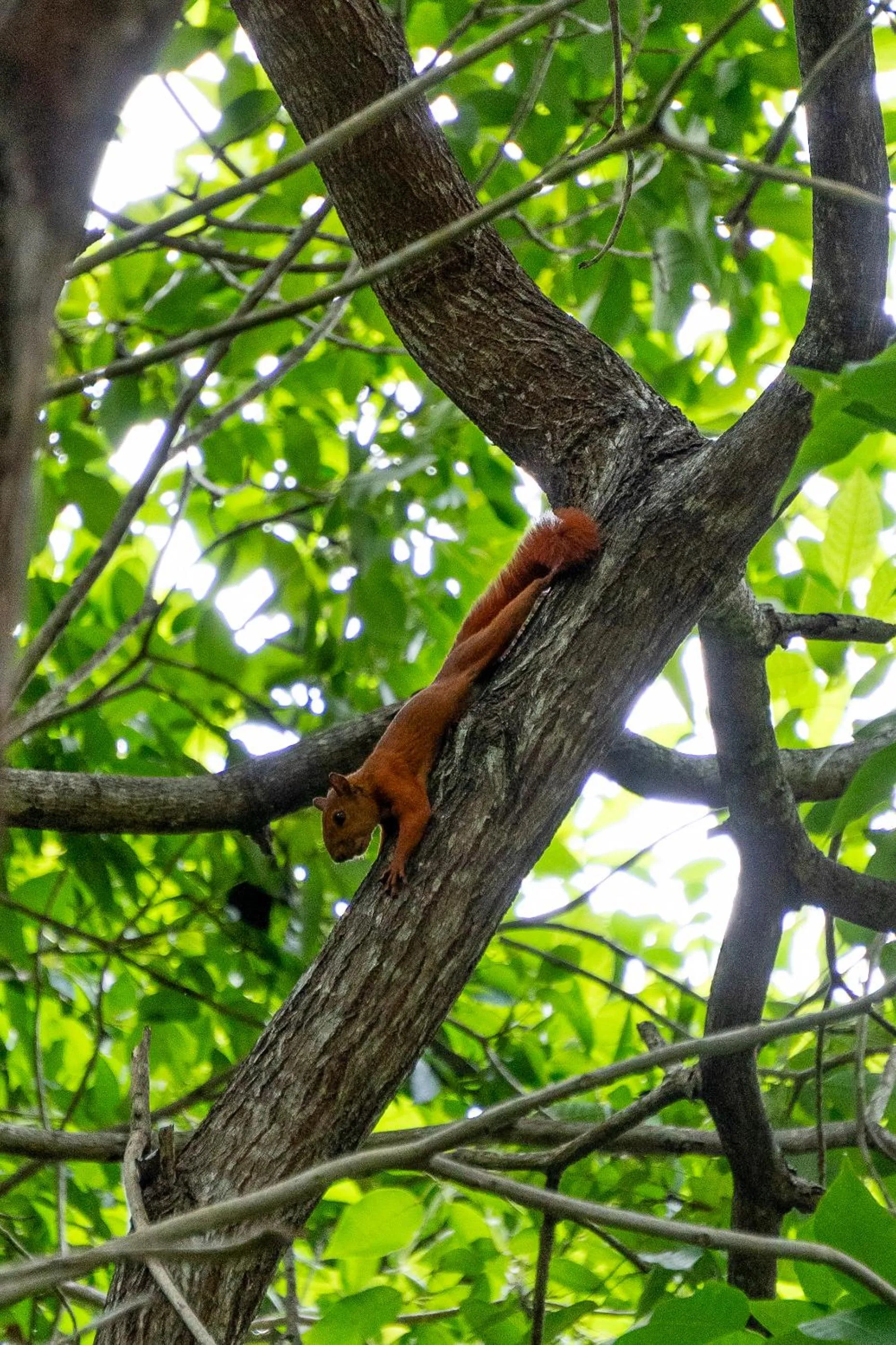 Natural landscape in Villa Maria Tayrona, Jungle and Sea Experience