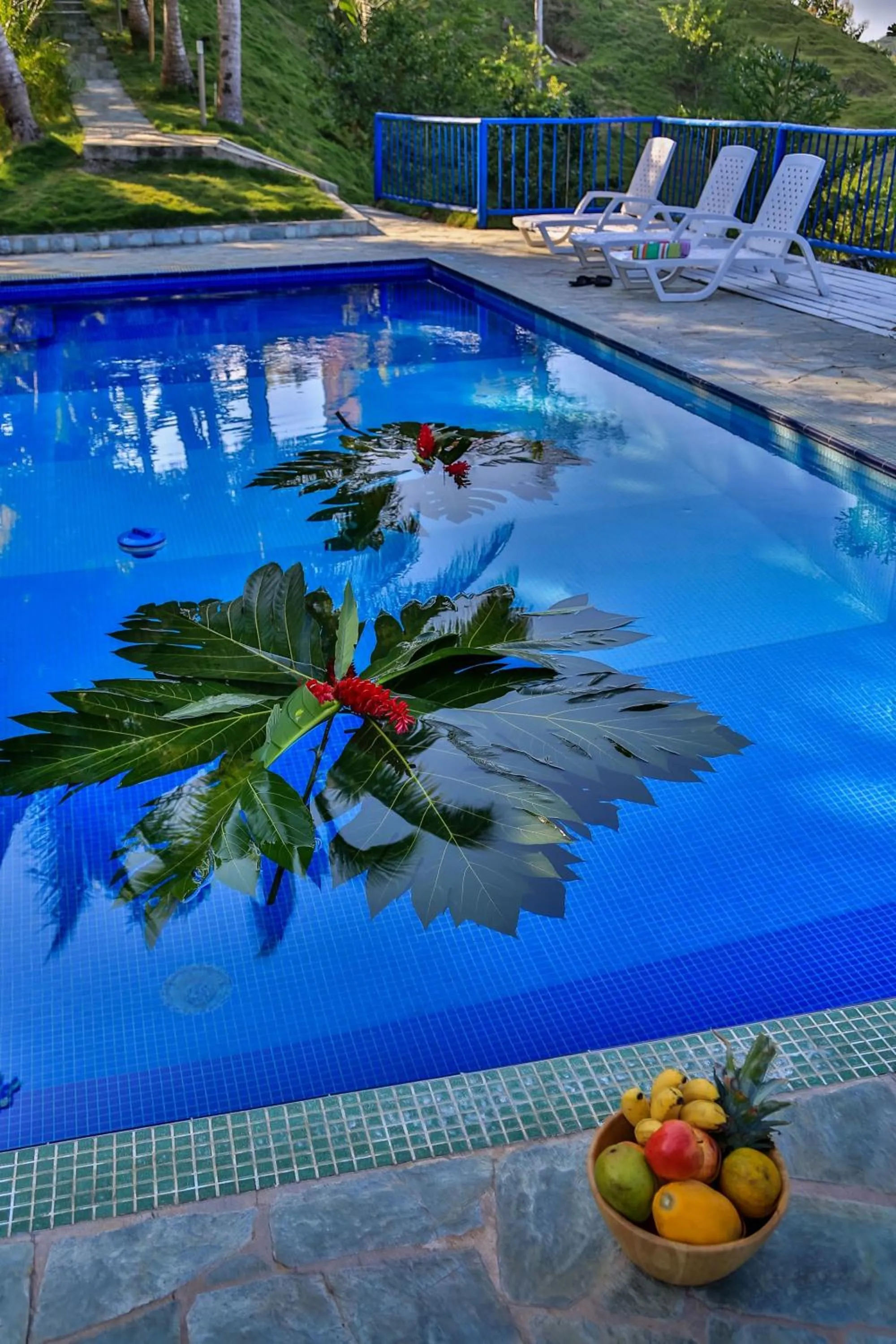Swimming pool in Villa Maria Tayrona, Jungle and Sea Experience