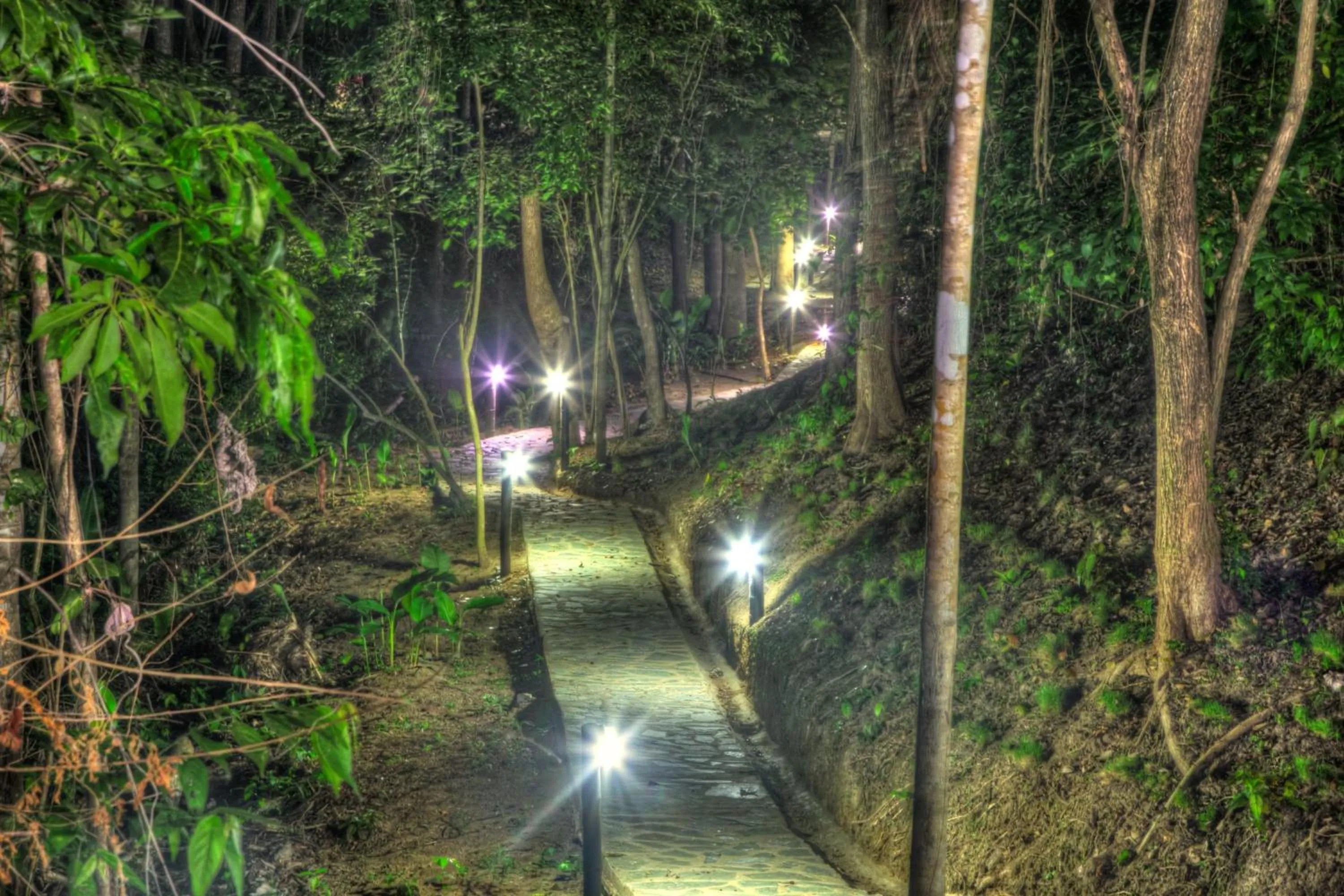 Night in Villa Maria Tayrona, Jungle and Sea Experience