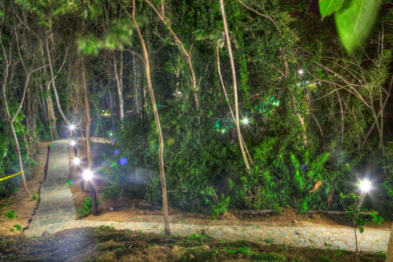 Other in Villa Maria Tayrona, Jungle and Sea Experience