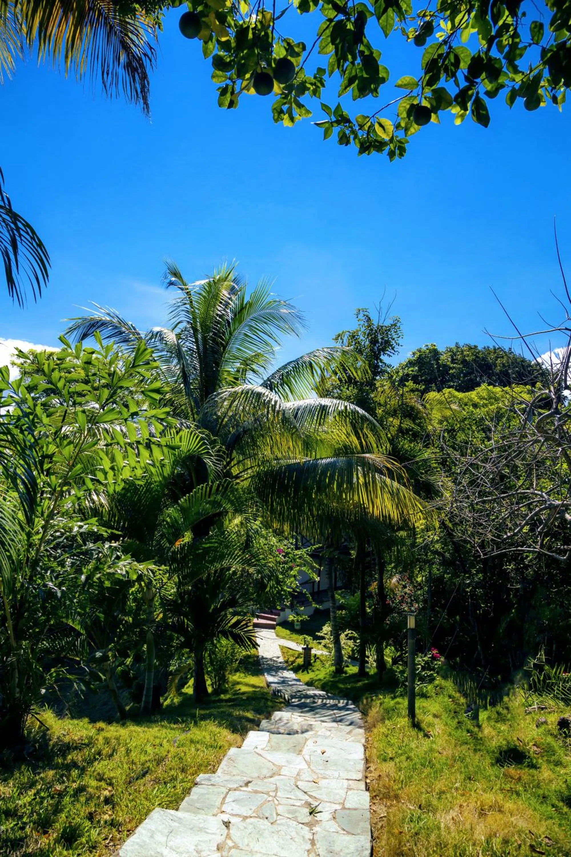Garden in Villa Maria Tayrona, Jungle and Sea Experience