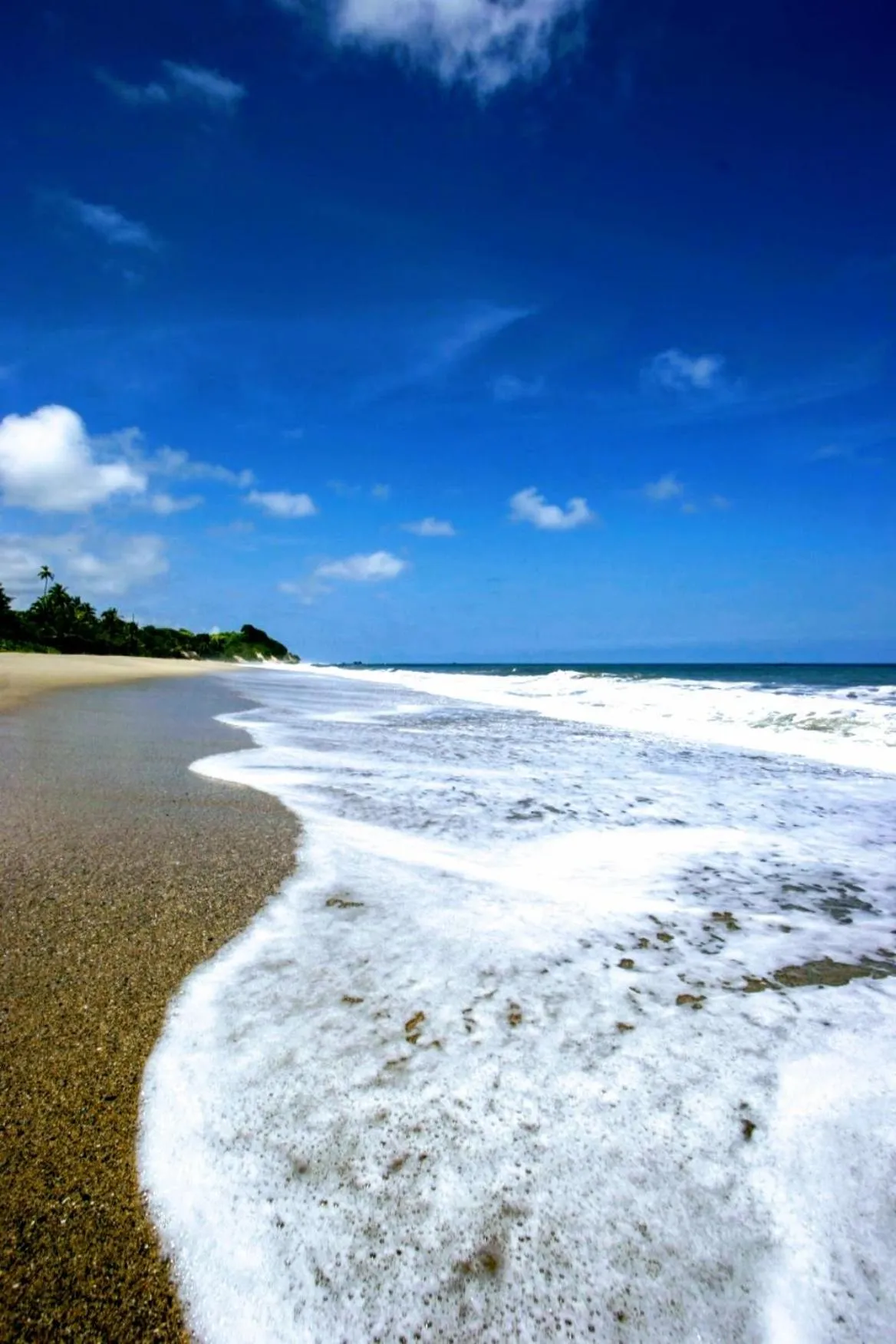Beach in Villa Maria Tayrona, Jungle and Sea Experience