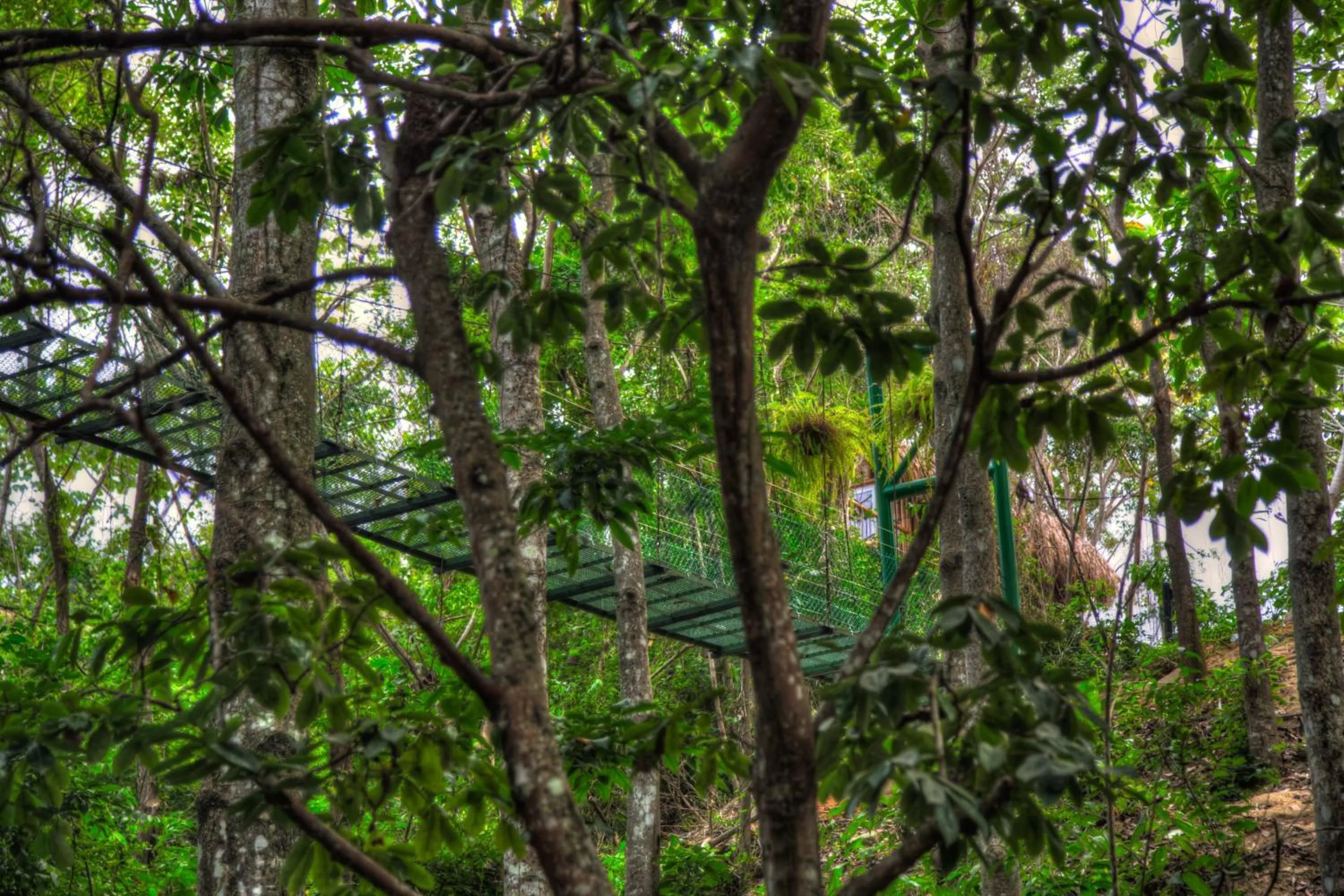 Decorative detail in Villa Maria Tayrona, Jungle and Sea Experience
