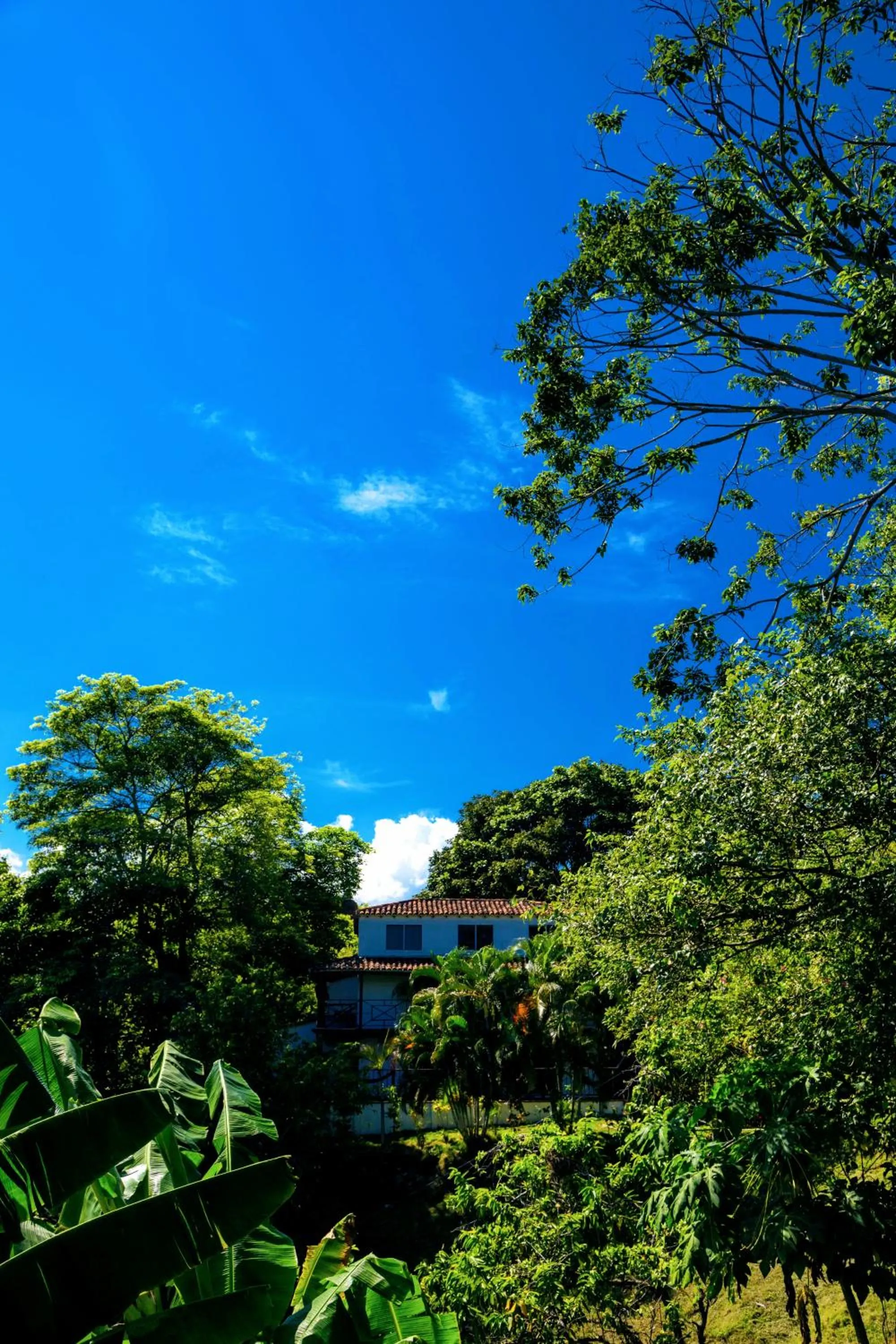 Property building in Villa Maria Tayrona, Jungle and Sea Experience