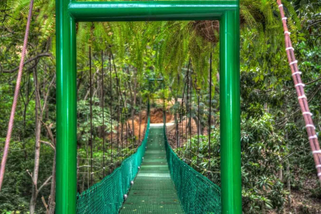 Other in Villa Maria Tayrona, Jungle and Sea Experience