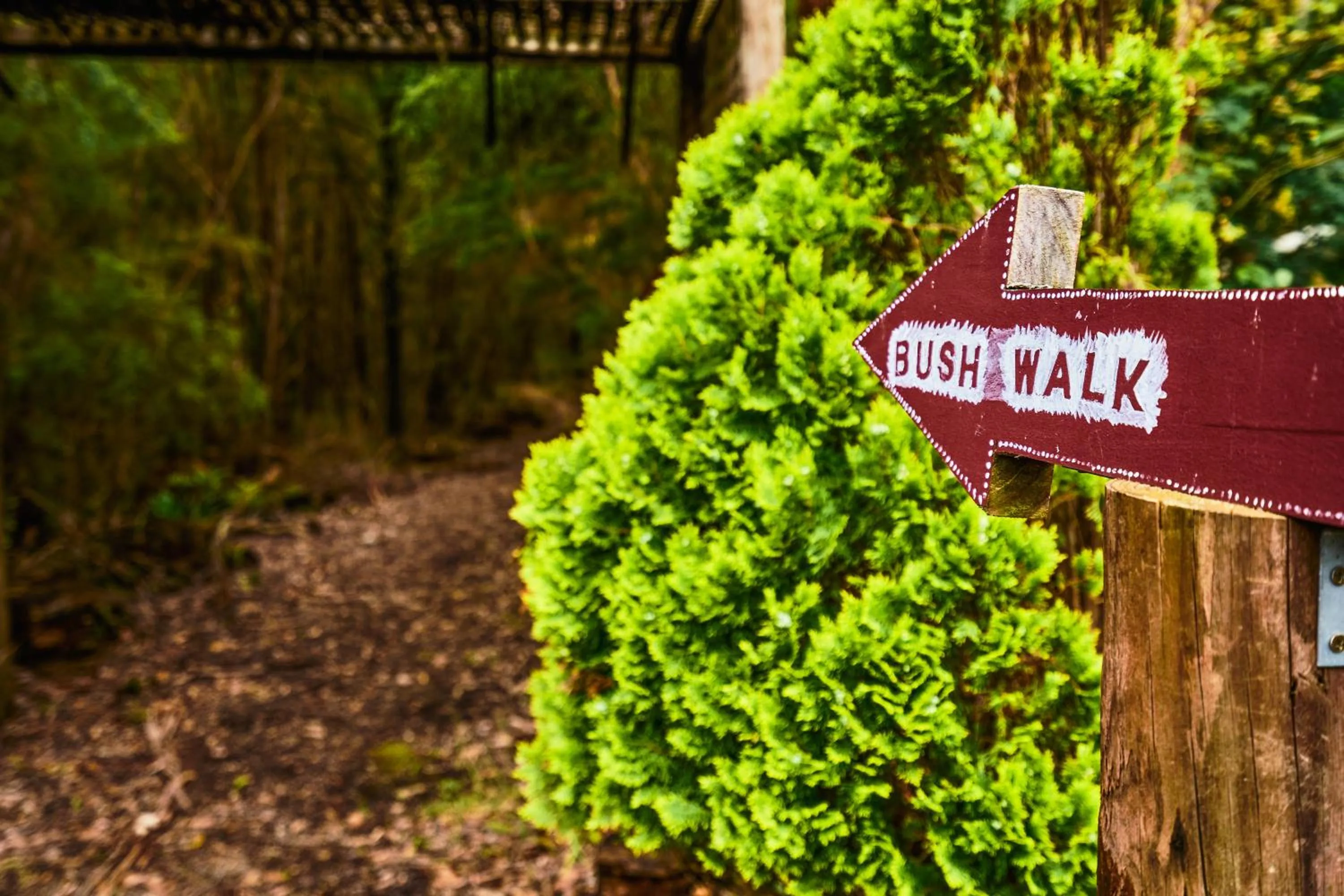 Sanctuary House Resort Motel