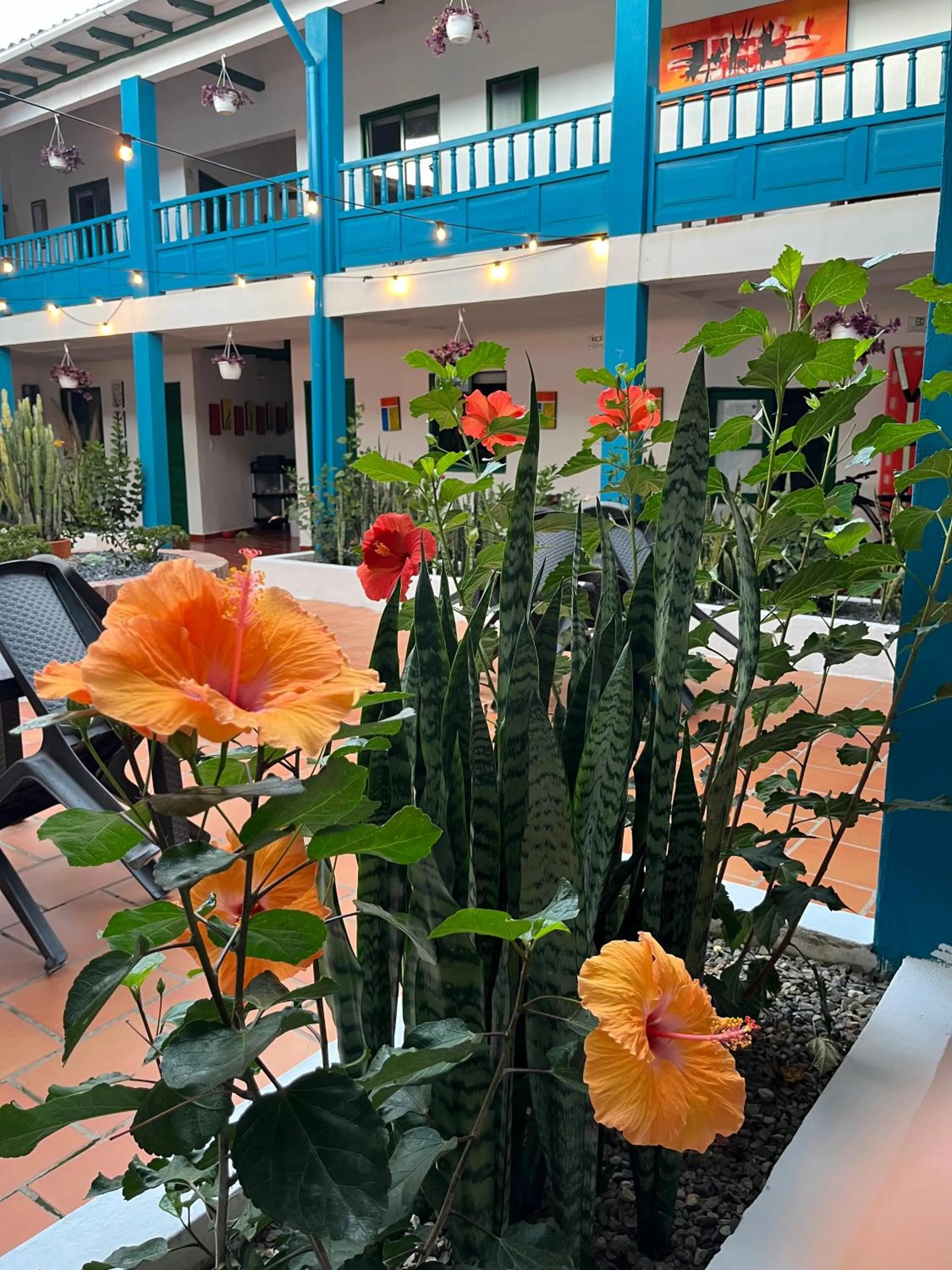 Garden in Celeste Villa de Leyva