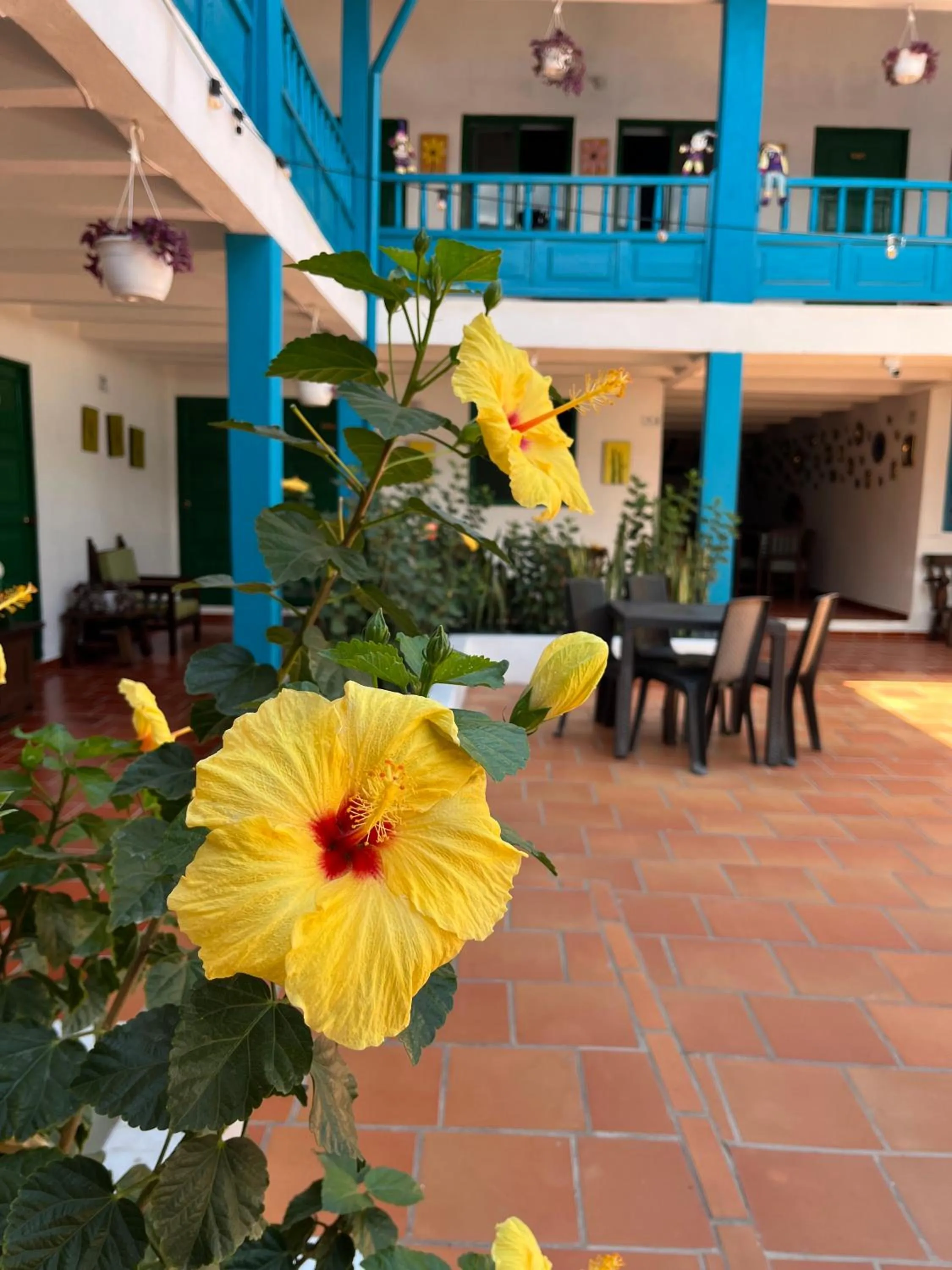 Garden in Celeste Villa de Leyva