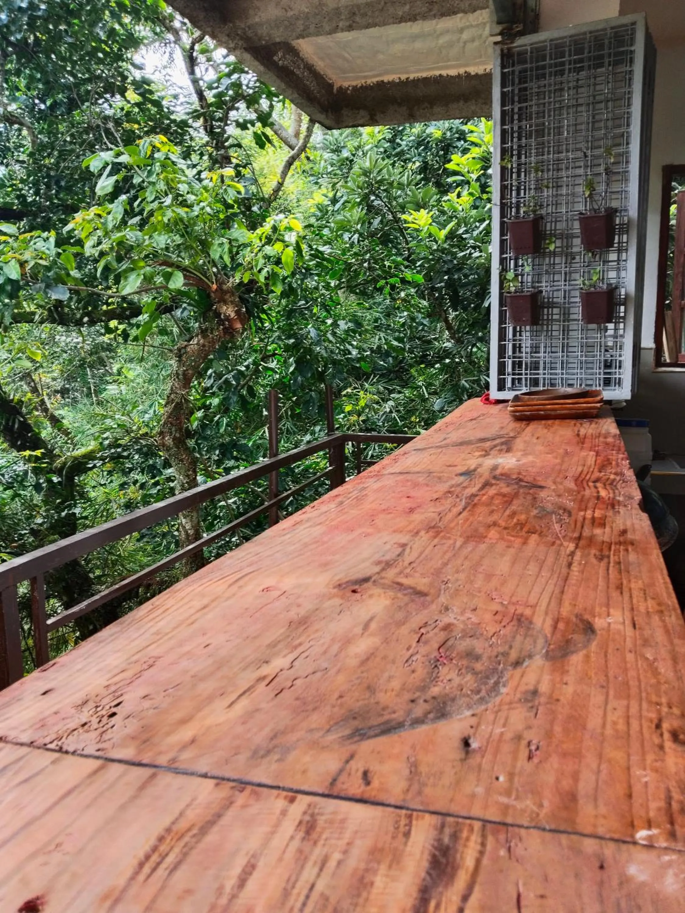 Batad Pension and Restaurant