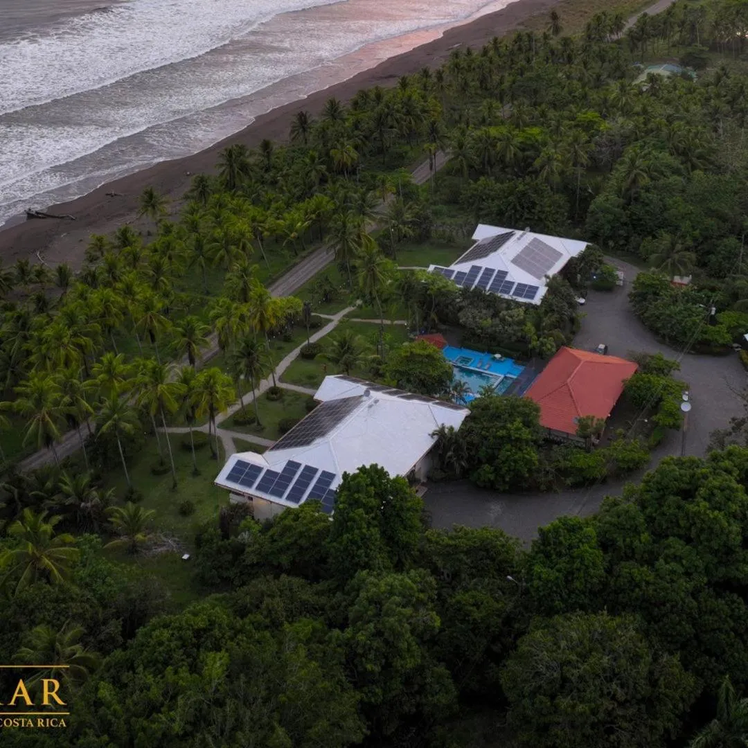 Garden in HOTEL COCOMAR