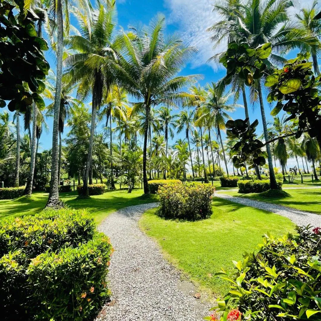 Garden in HOTEL COCOMAR