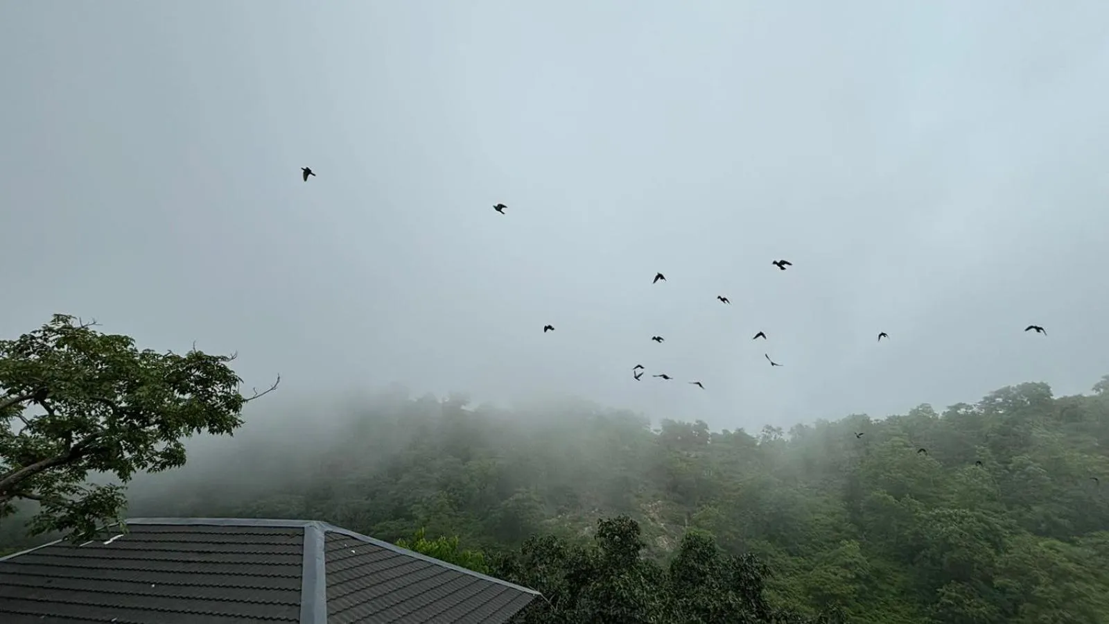 Seasons in Kananwas Resort, Kumbhalgarh