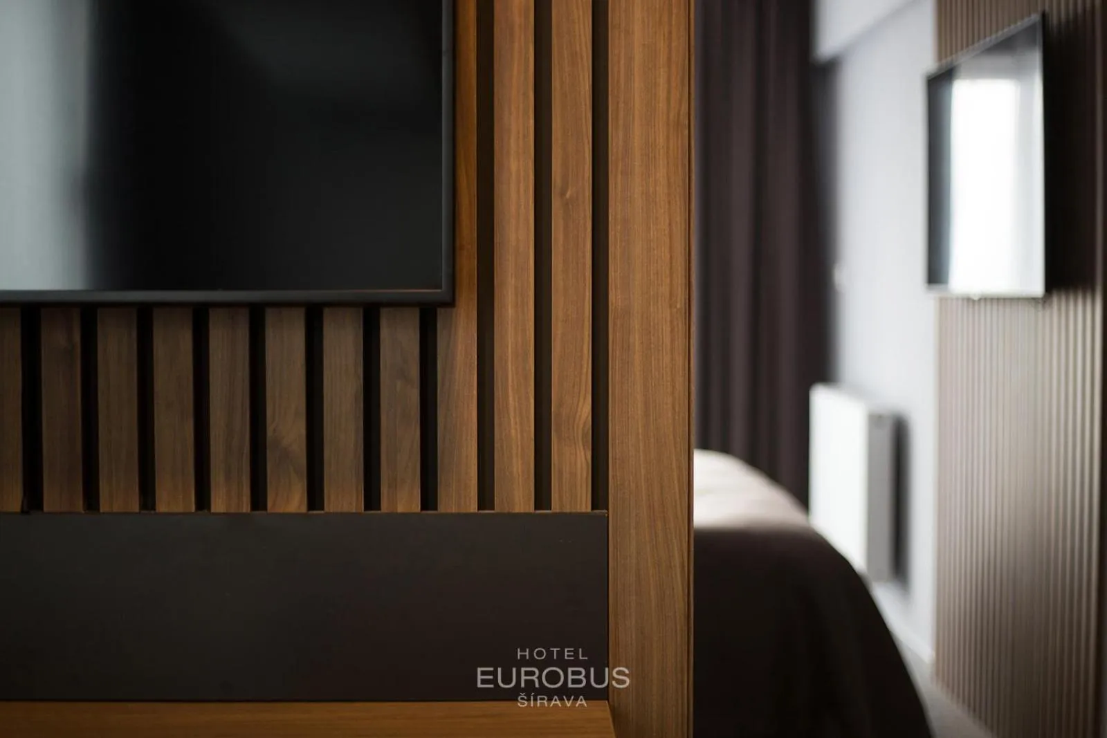 TV and multimedia in Hotel Eurobus
