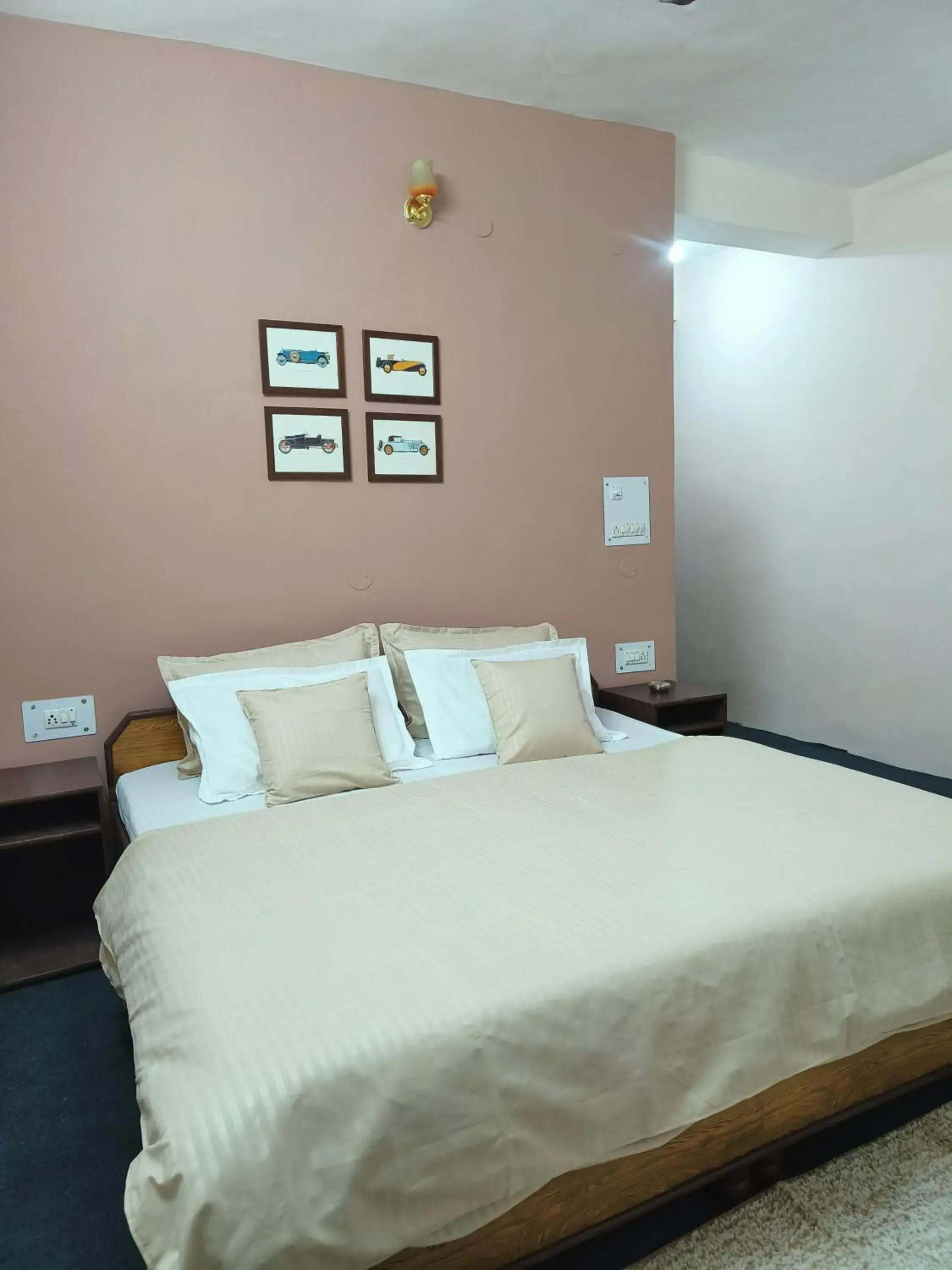King Room with Balcony in The Kailasha Homestay King Room with Balcony in The Kailasha Homestay