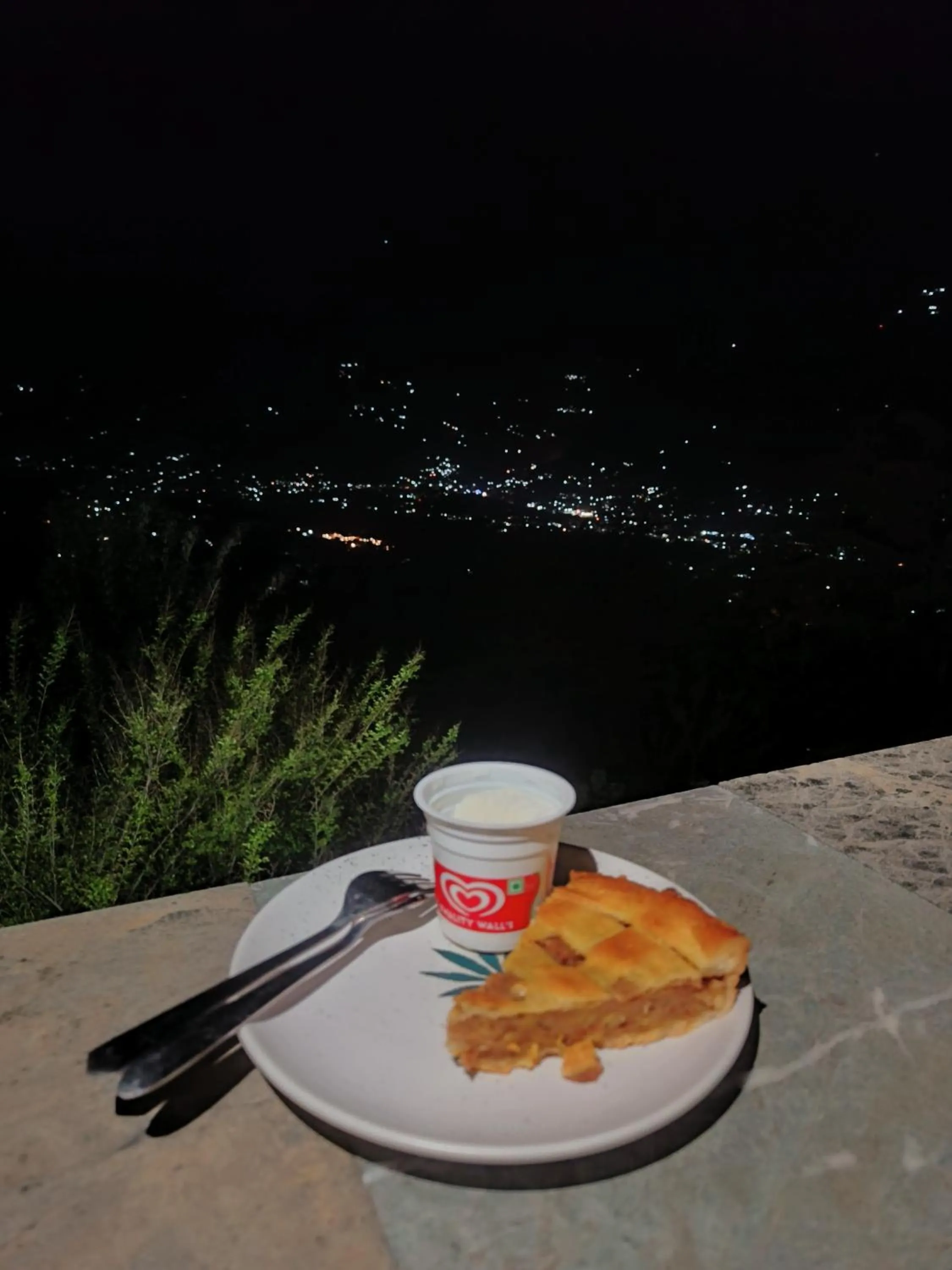 Night in The Kailasha Homestay