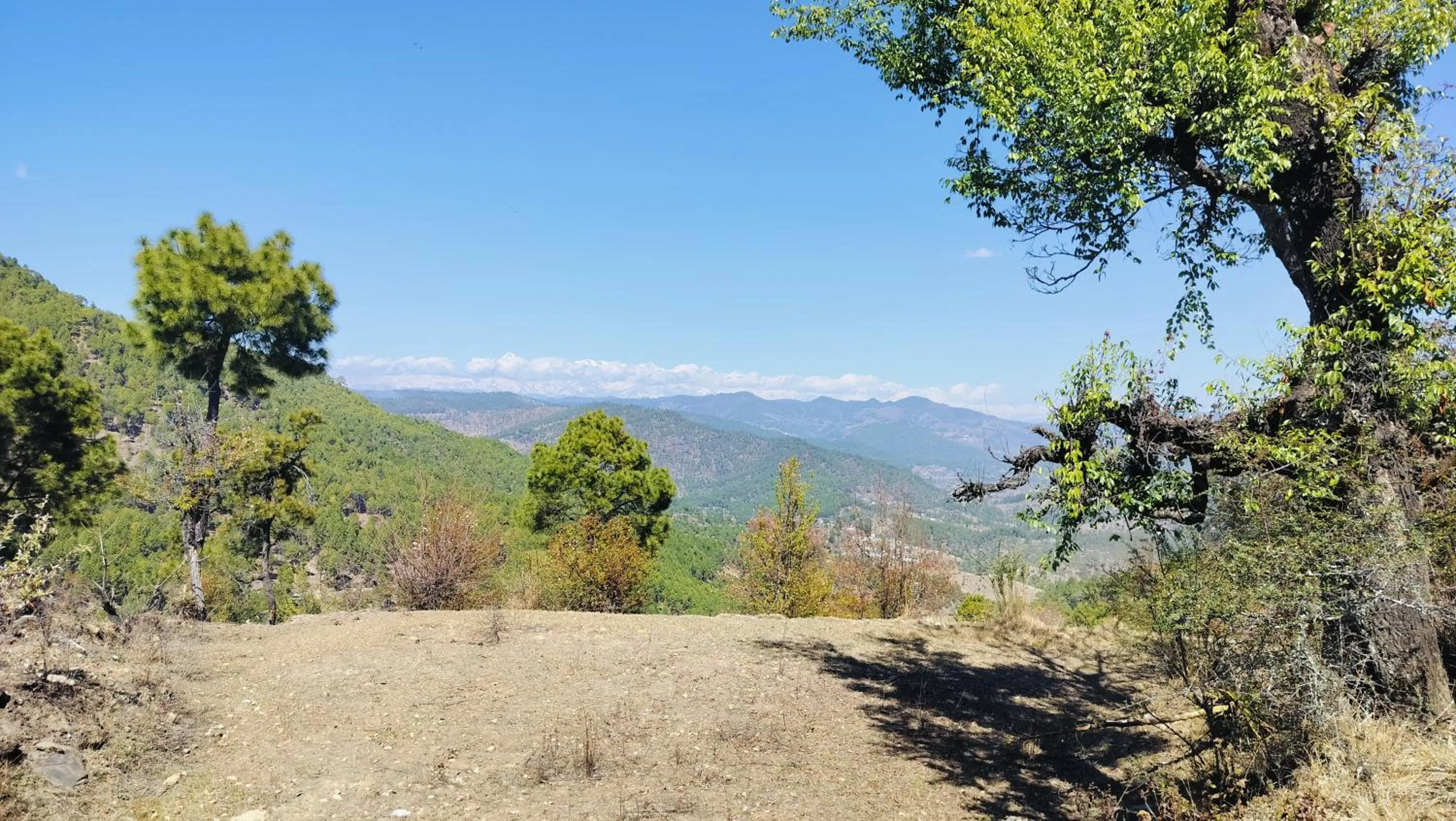 Natural landscape in Adaara Retreat - Pet Friendly Cottages, Almora