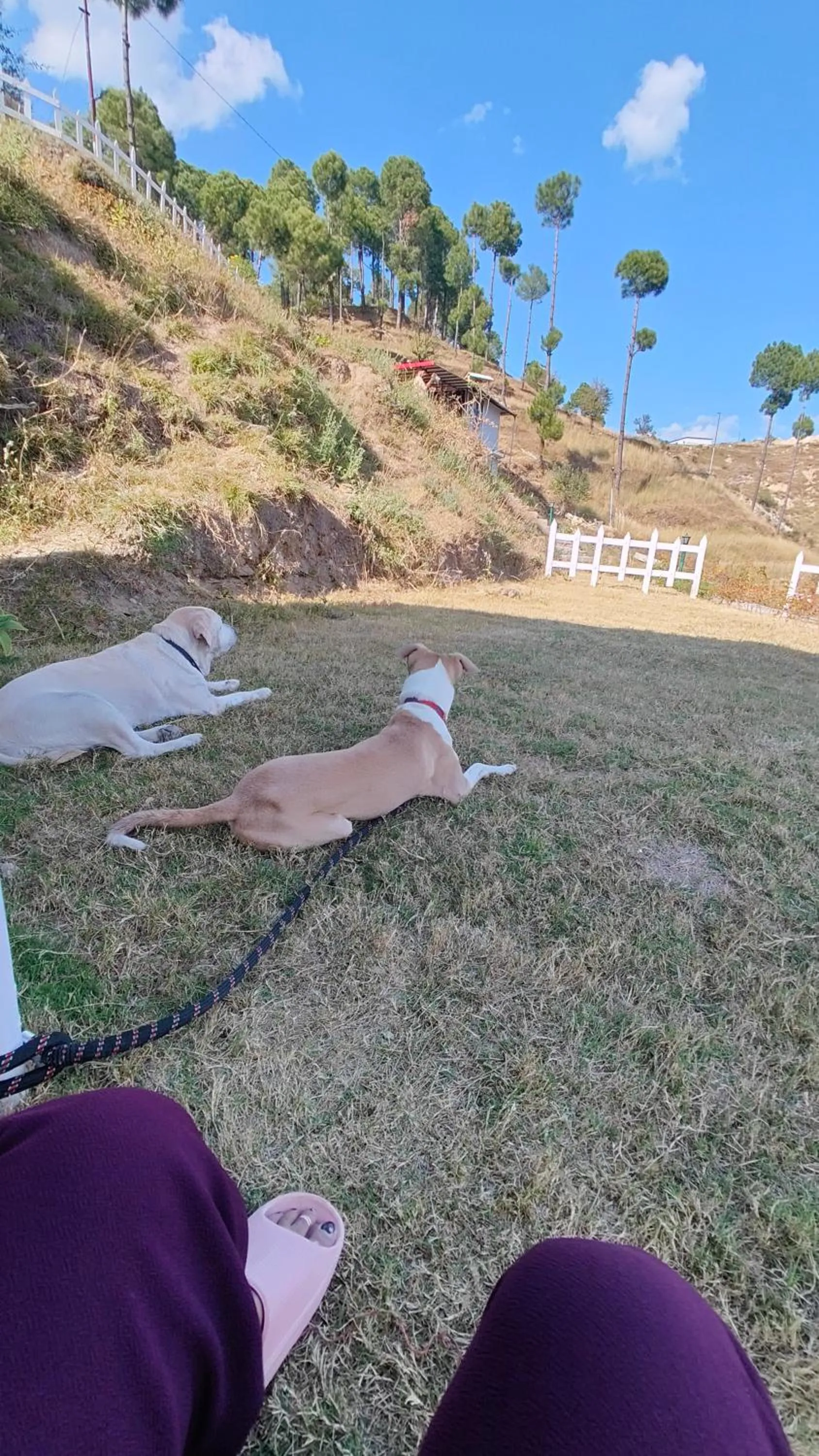 Garden view in Adaara Retreat - Pet Friendly Cottages, Almora