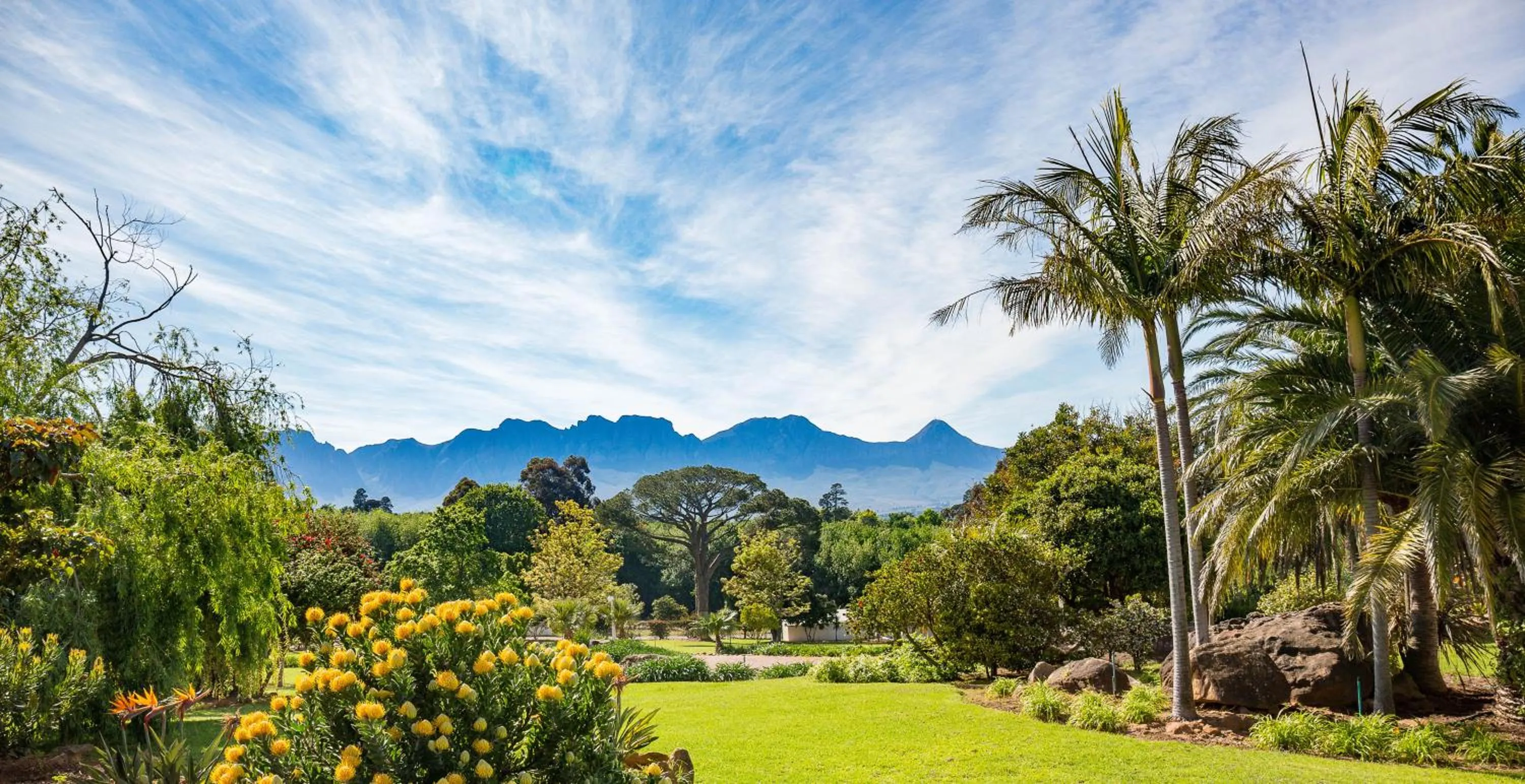 Garden in La Felicita Boutique Self Catering Villas