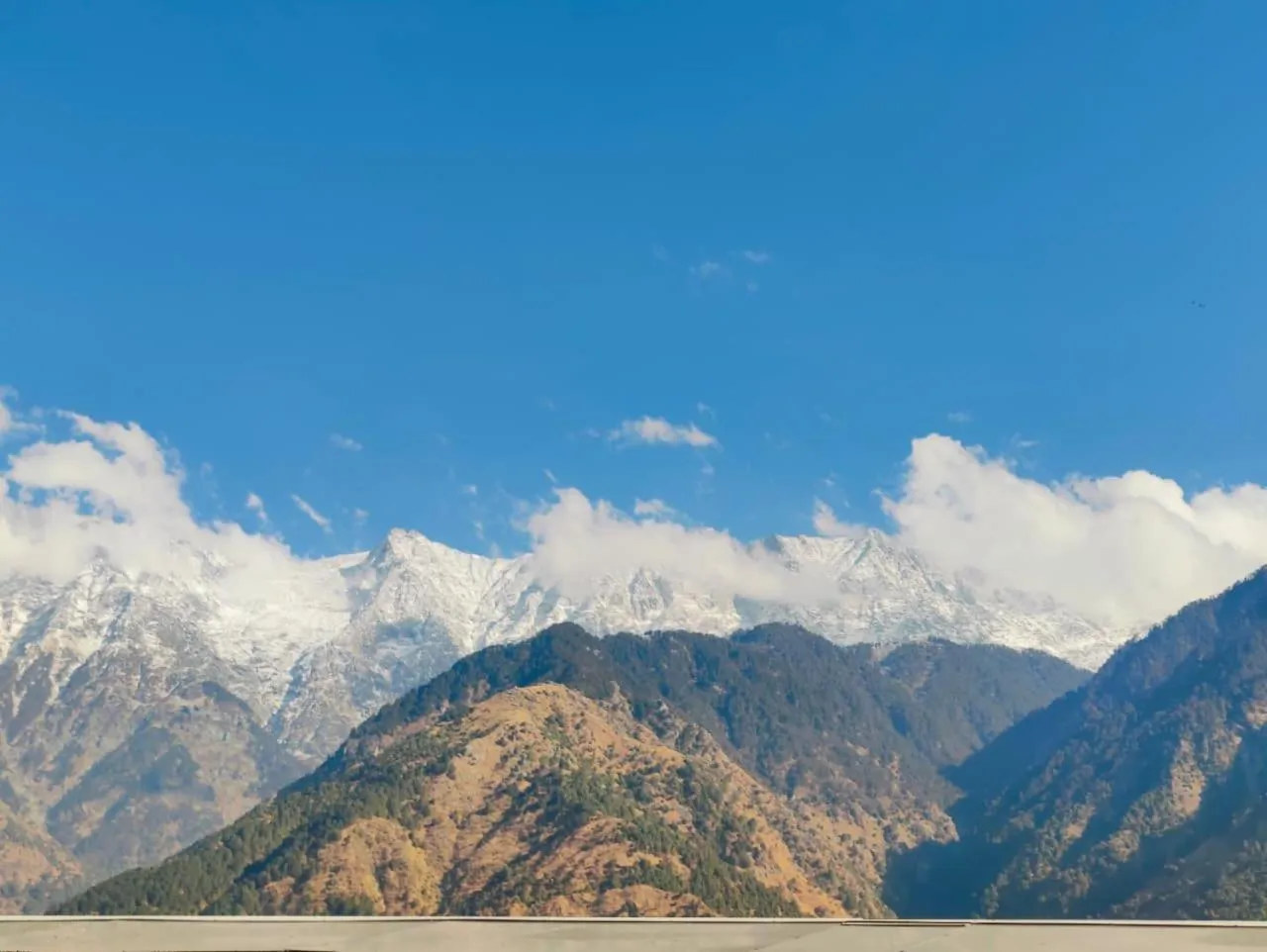 View (from property/room) in Aliza Inn And Suites By SRS Hotels