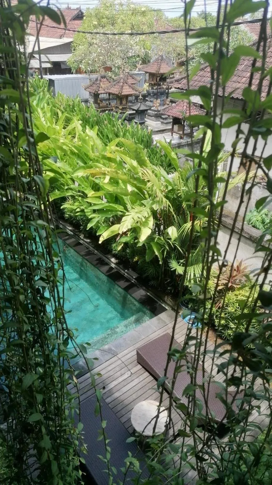 Pool view in D'tegal Guest House- Tropical Courtyard in Canggu