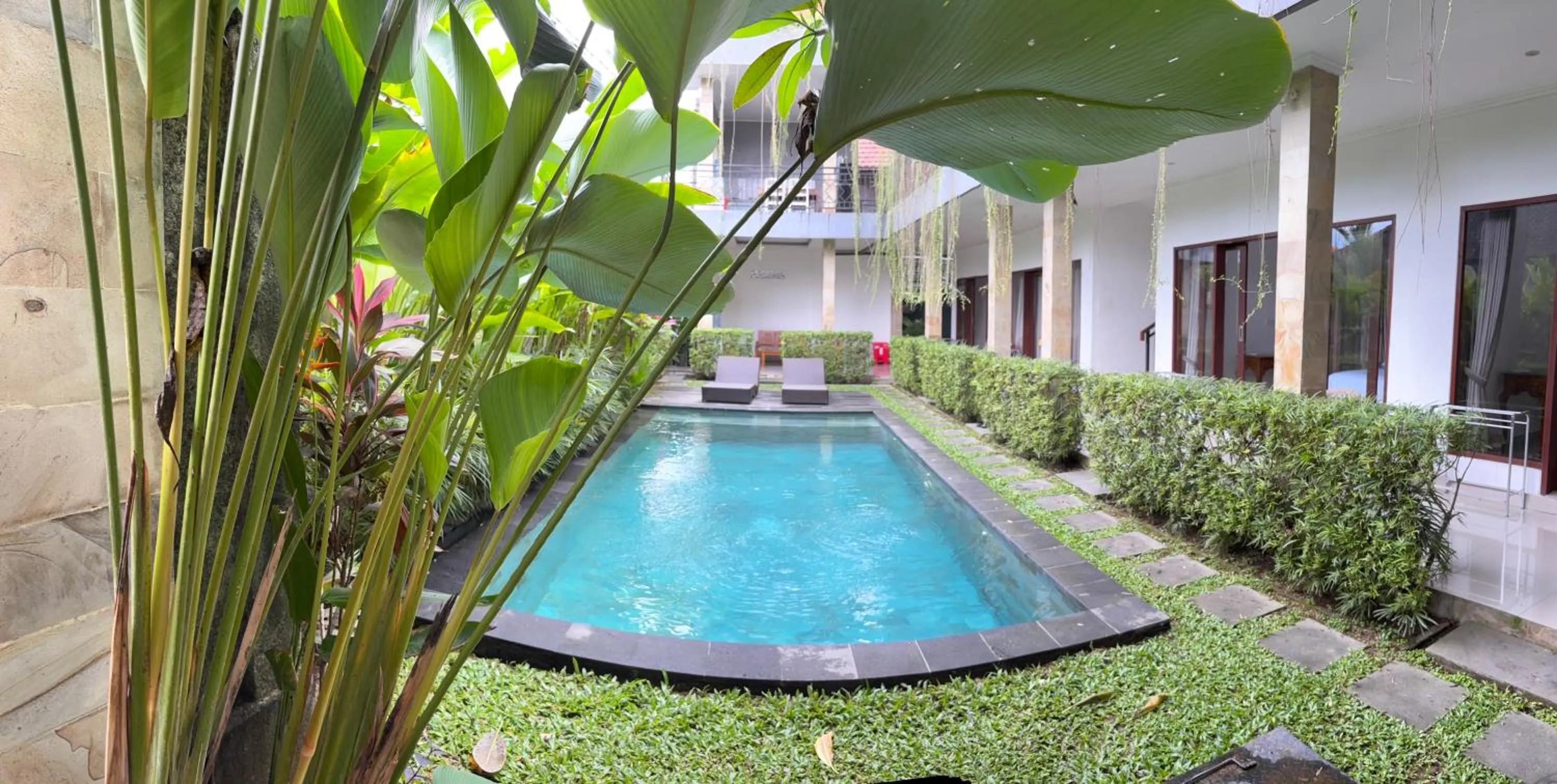 Pool view in D'tegal Guest House- Tropical Courtyard in Canggu