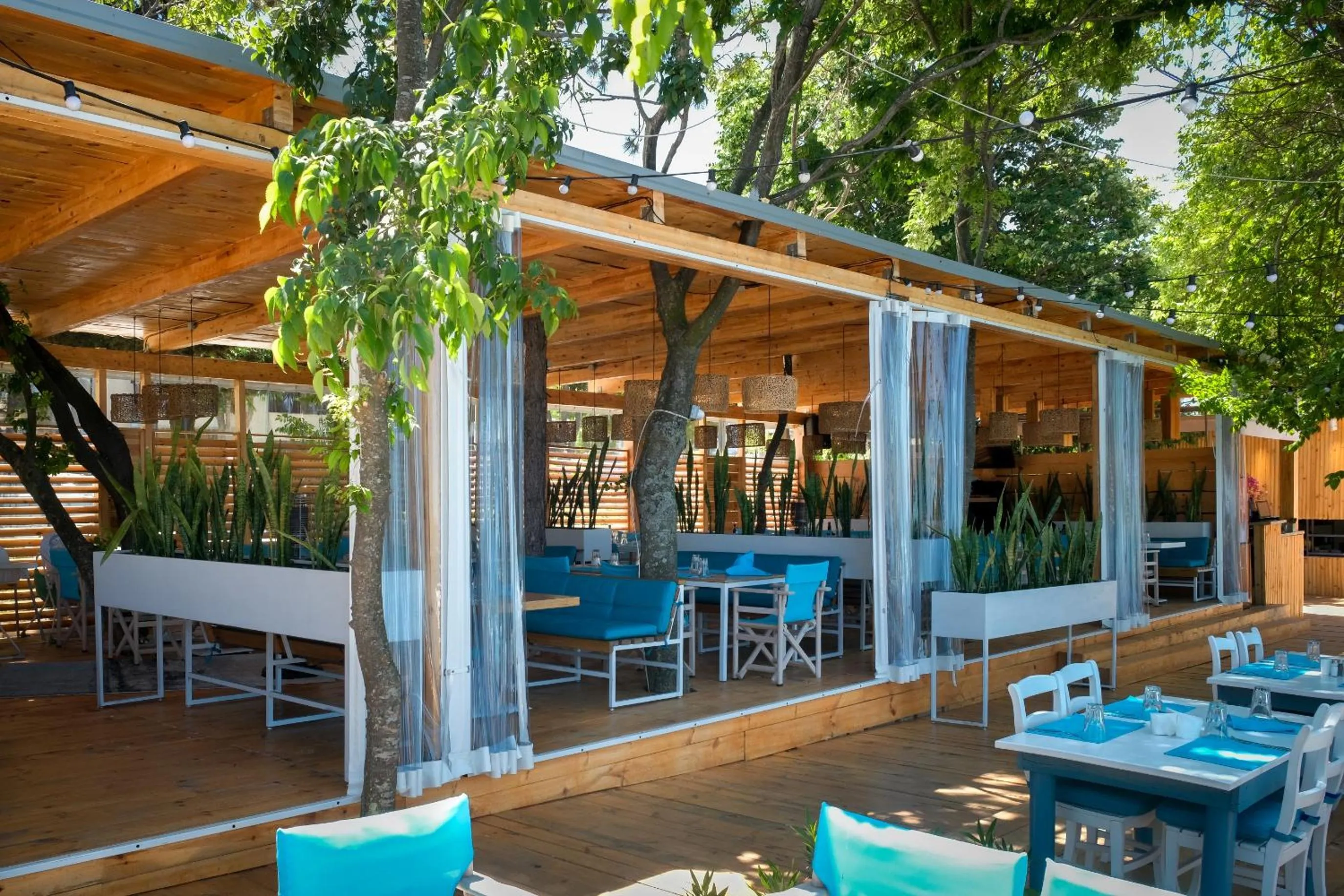 Restaurant/places to eat in PARADISE Bay Hotel