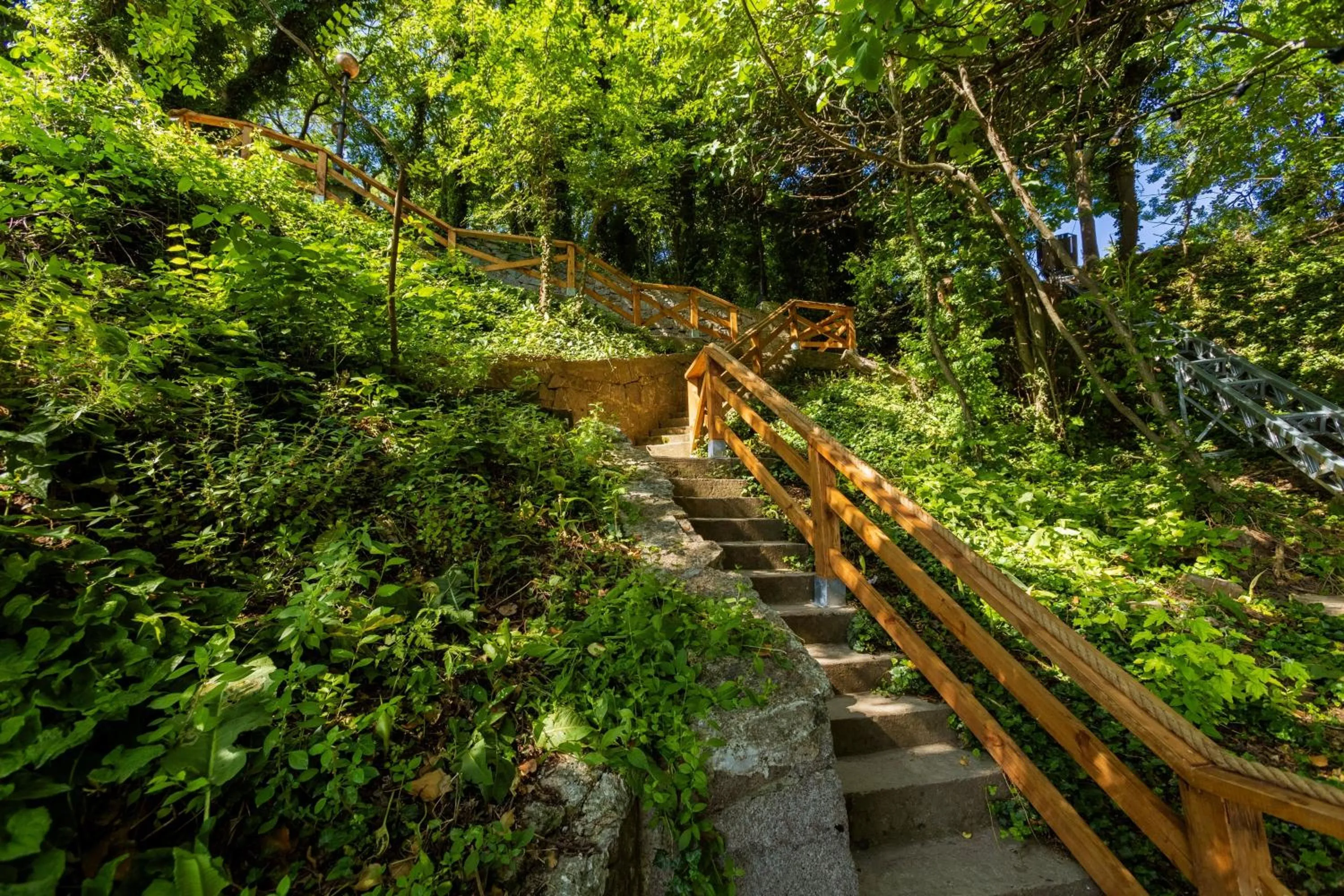 Natural landscape in PARADISE Bay Hotel