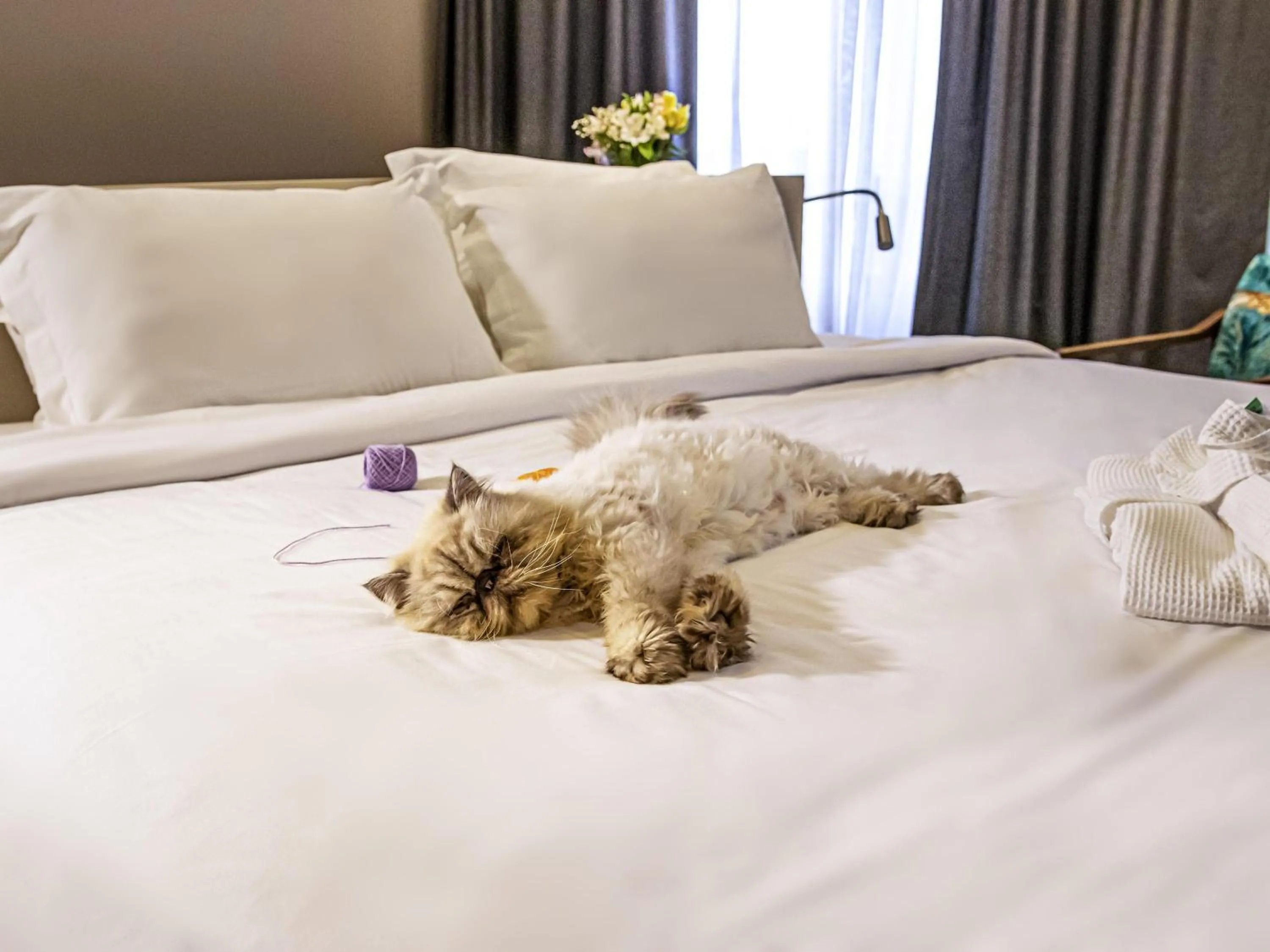 Other, Bed in Mercure Florianópolis