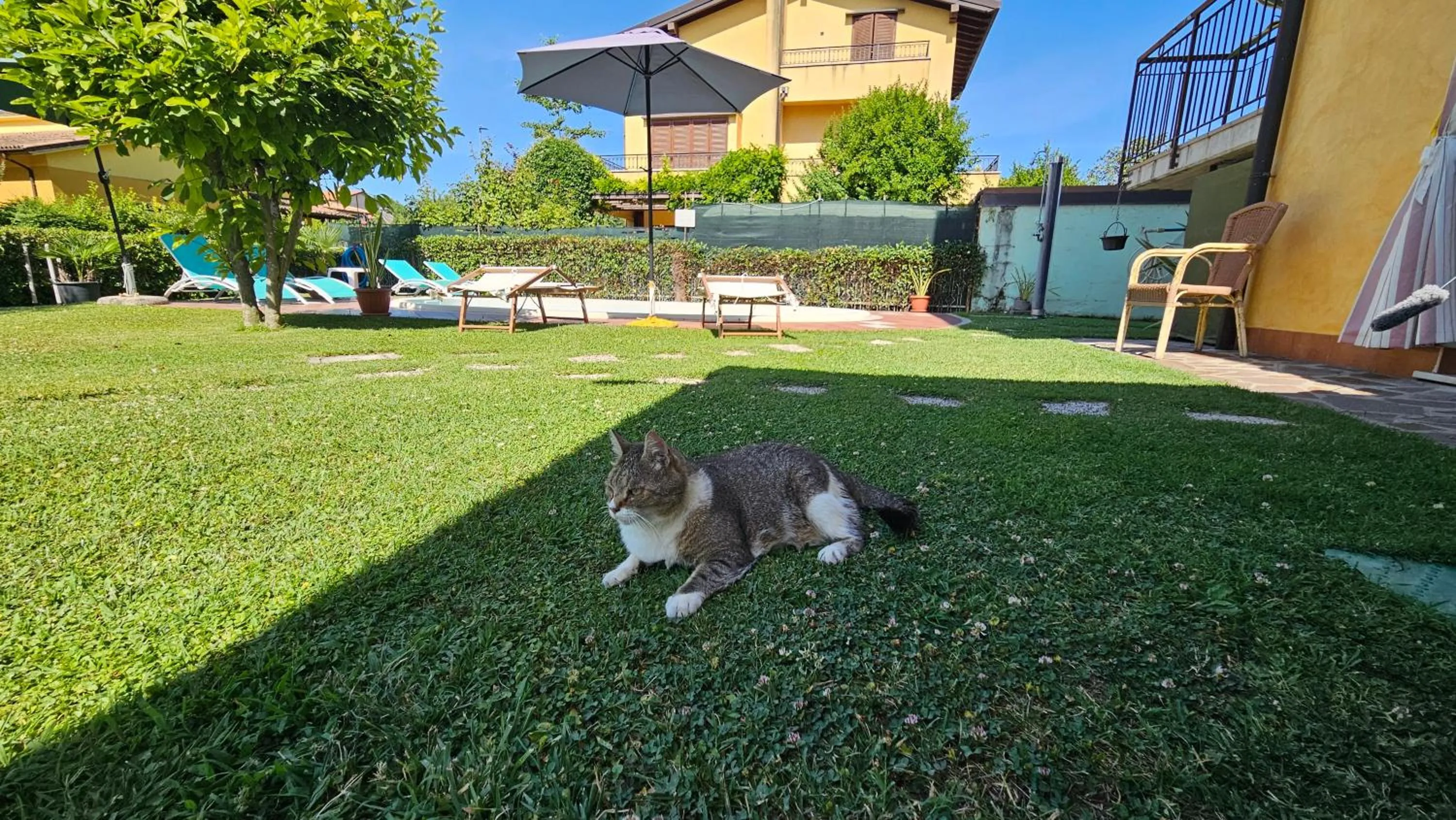 Garden view in B&B Sandra