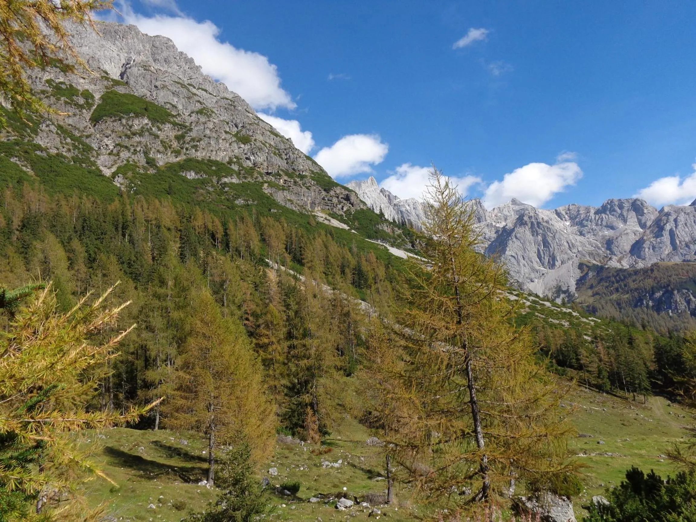 Natural landscape in Ferienwohnungen Vierthaler
